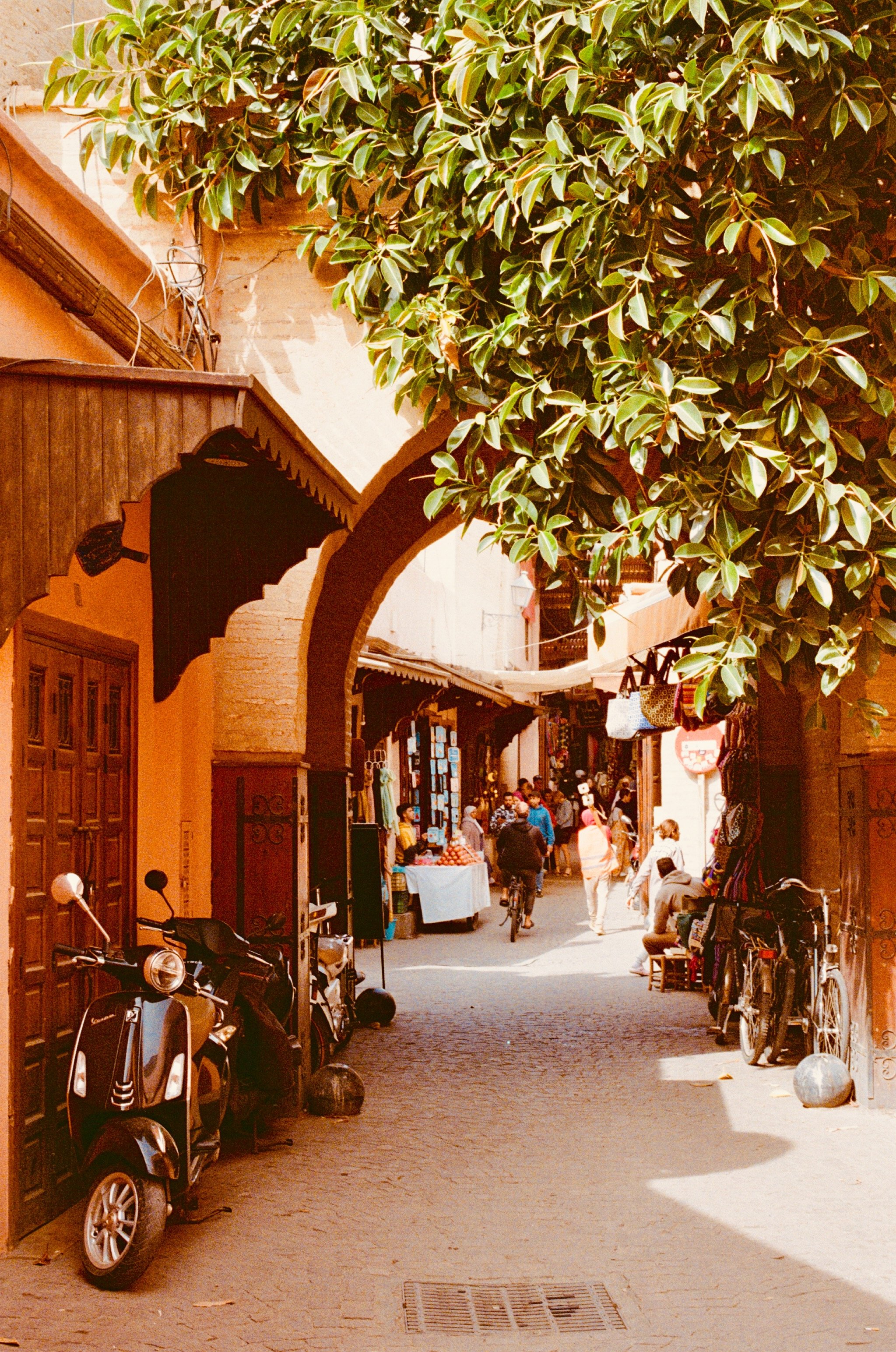marrakesh medina