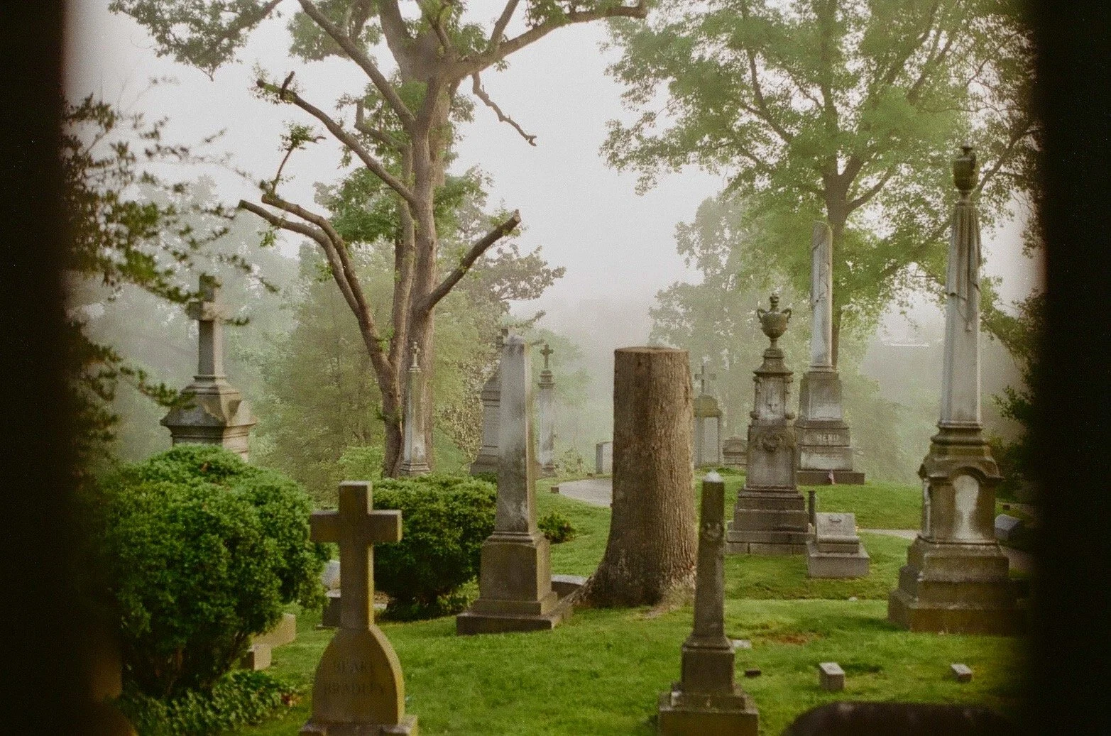 cemetery at dawn, georgetown
