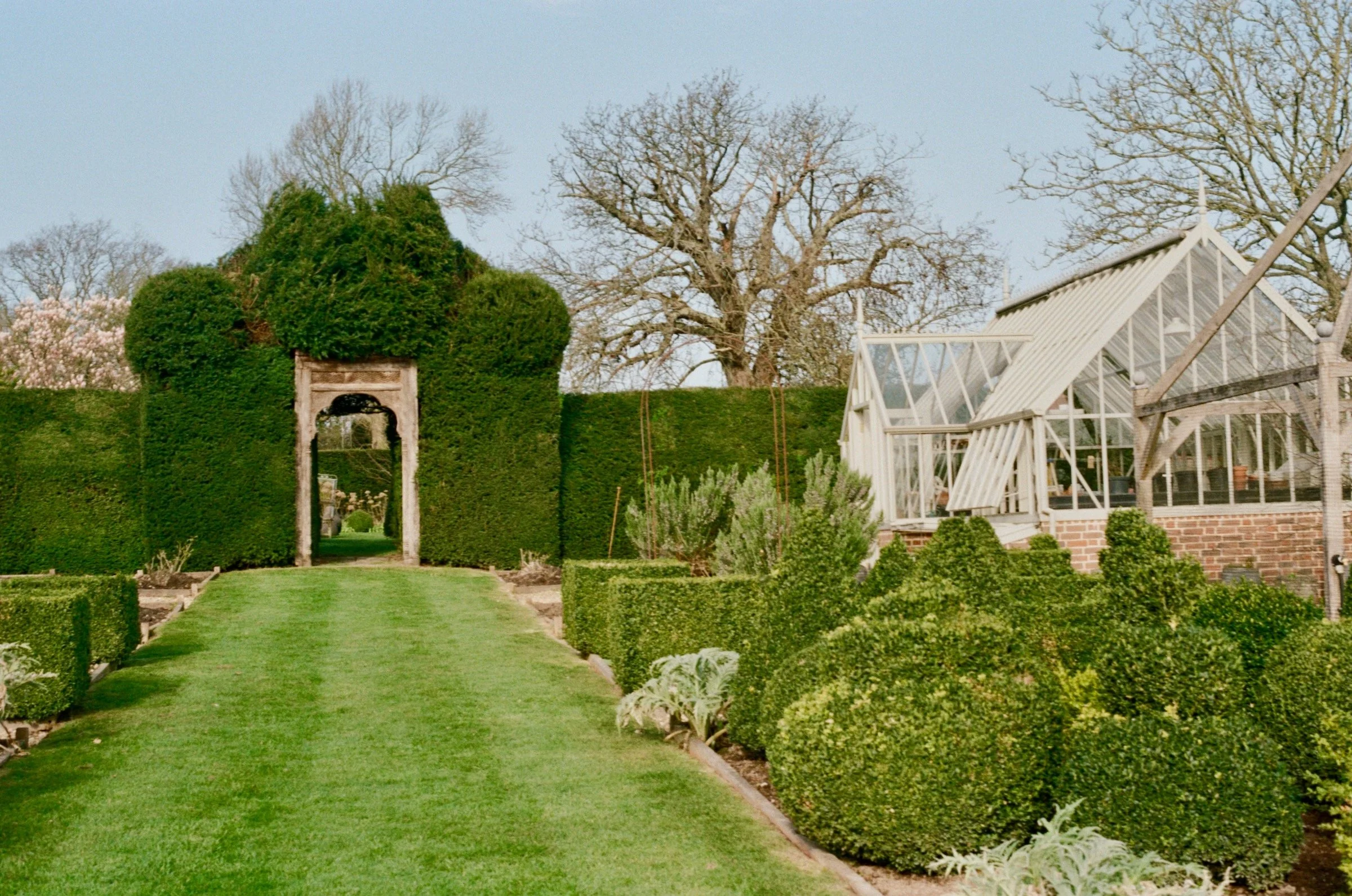 daphne's garden, hill ash farm