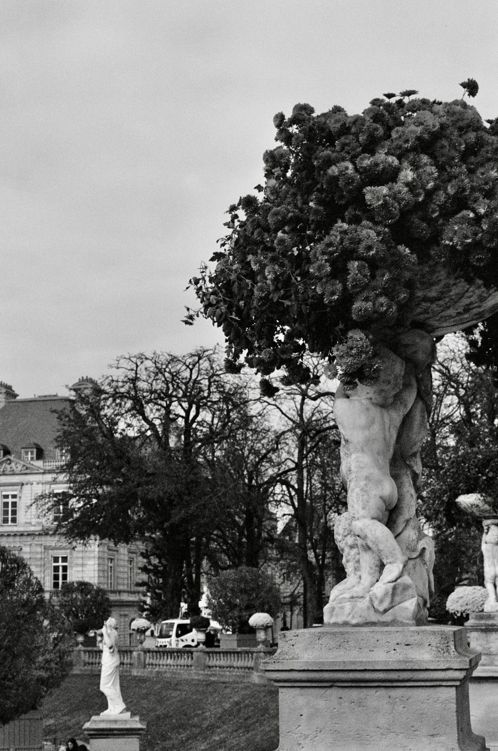 les fleurs