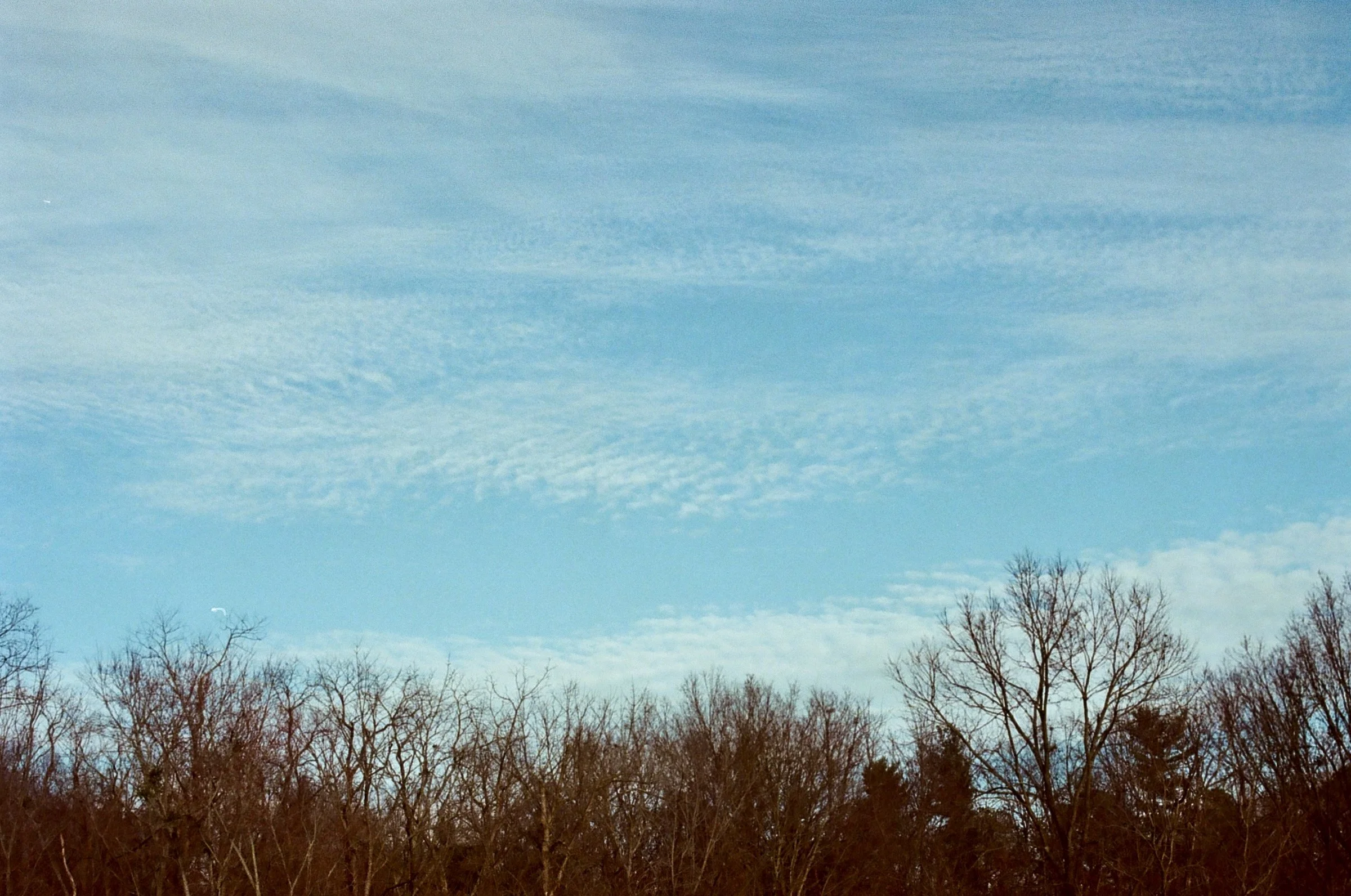 kentucky sky