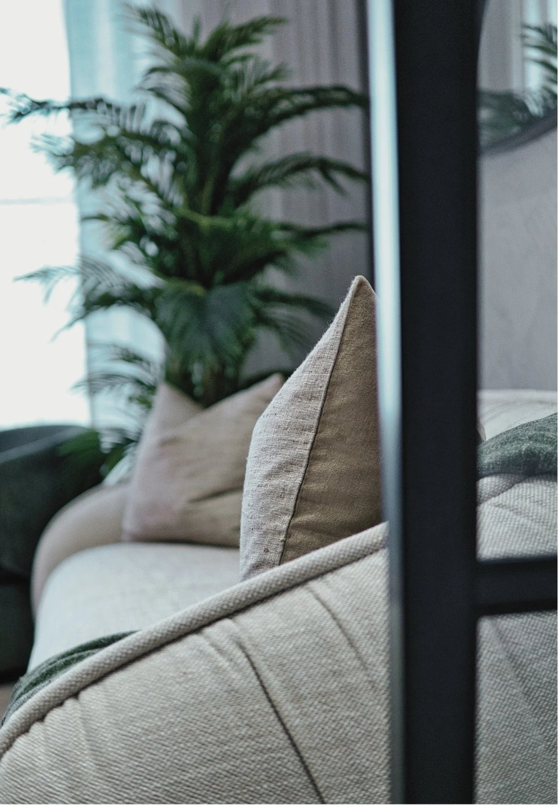Interior shot of a beige sofa with beige and gray cushions, a large plant in the background, and a black metal frame to the right.