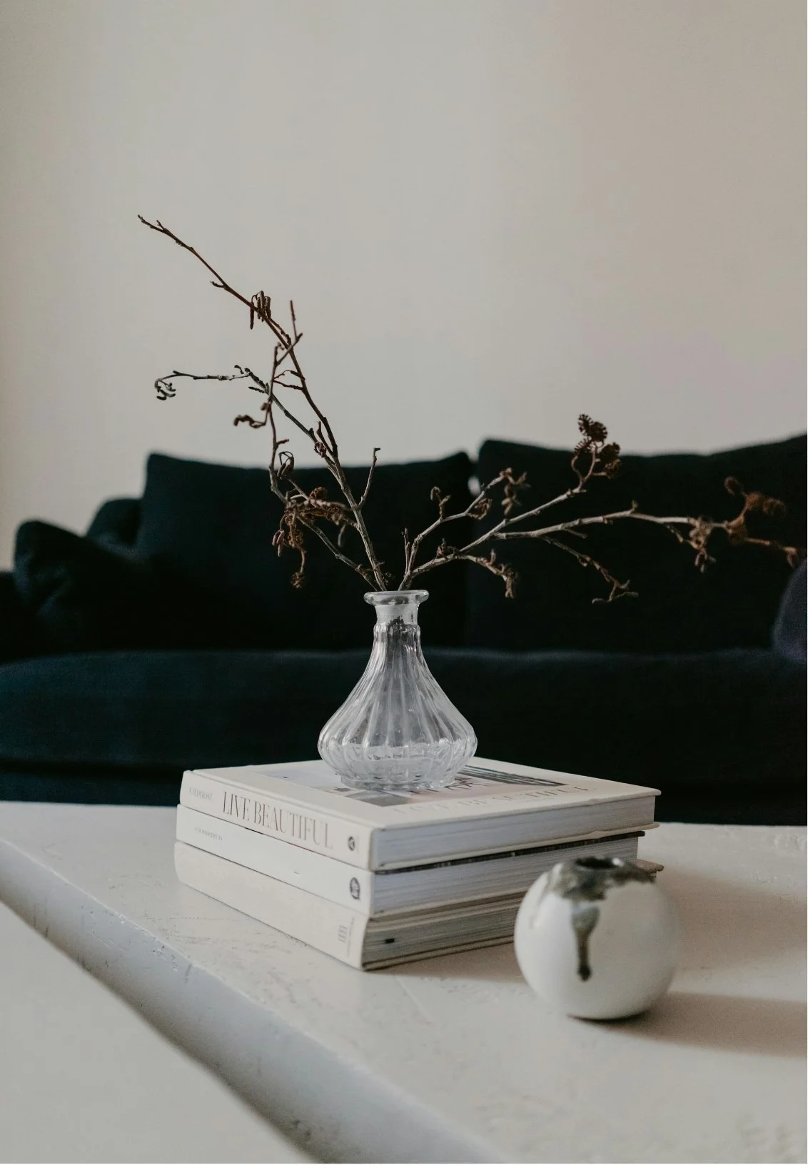 Dried branch in a glass vase, three stacked books with white covers, and a small white round object on a white surface, with a dark sofa in the background.