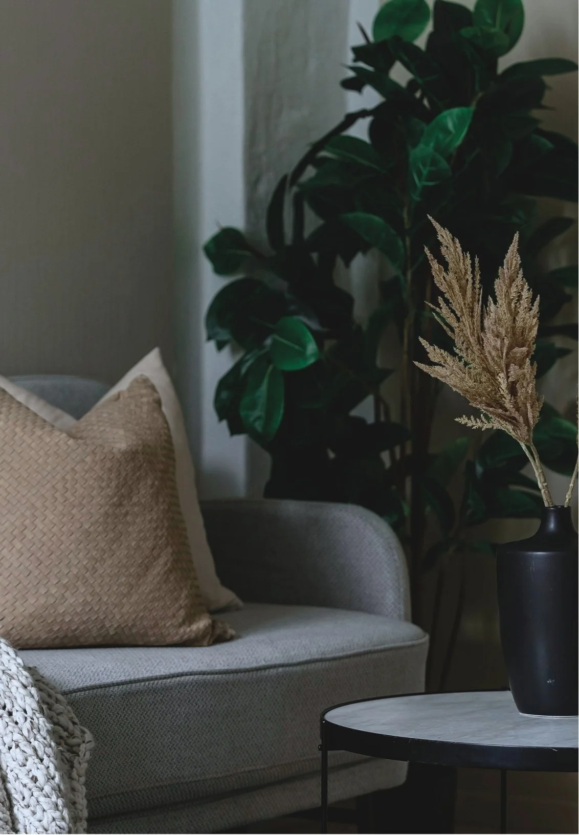 A cozy living room corner with a light gray sofa, a beige textured pillow, a black vase with dried pampas grass, a small round coffee table, and a tall indoor houseplant with large, dark green leaves.