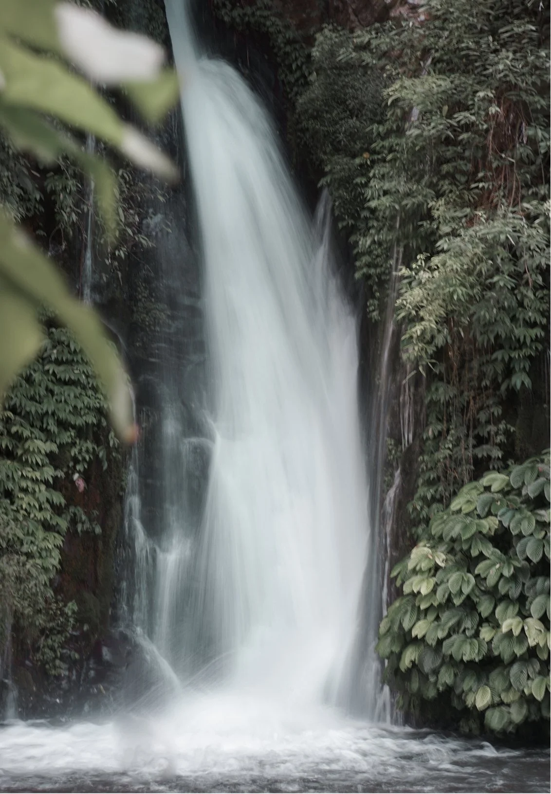 A waterfall cascading down a rocky cliff surrounded by lush green foliage.