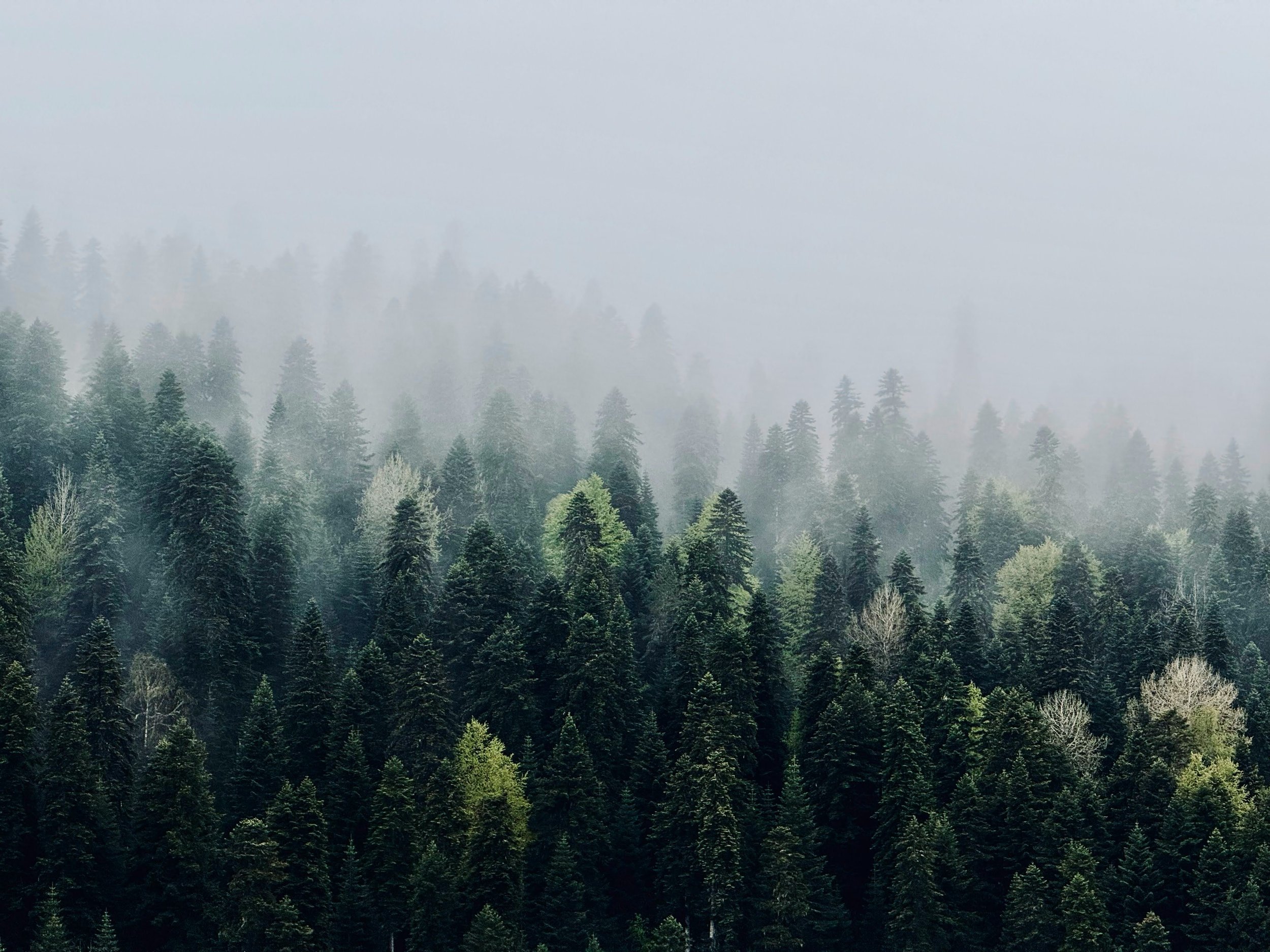 Why Choose a Therapy Intensive Over Weekly Sessions?