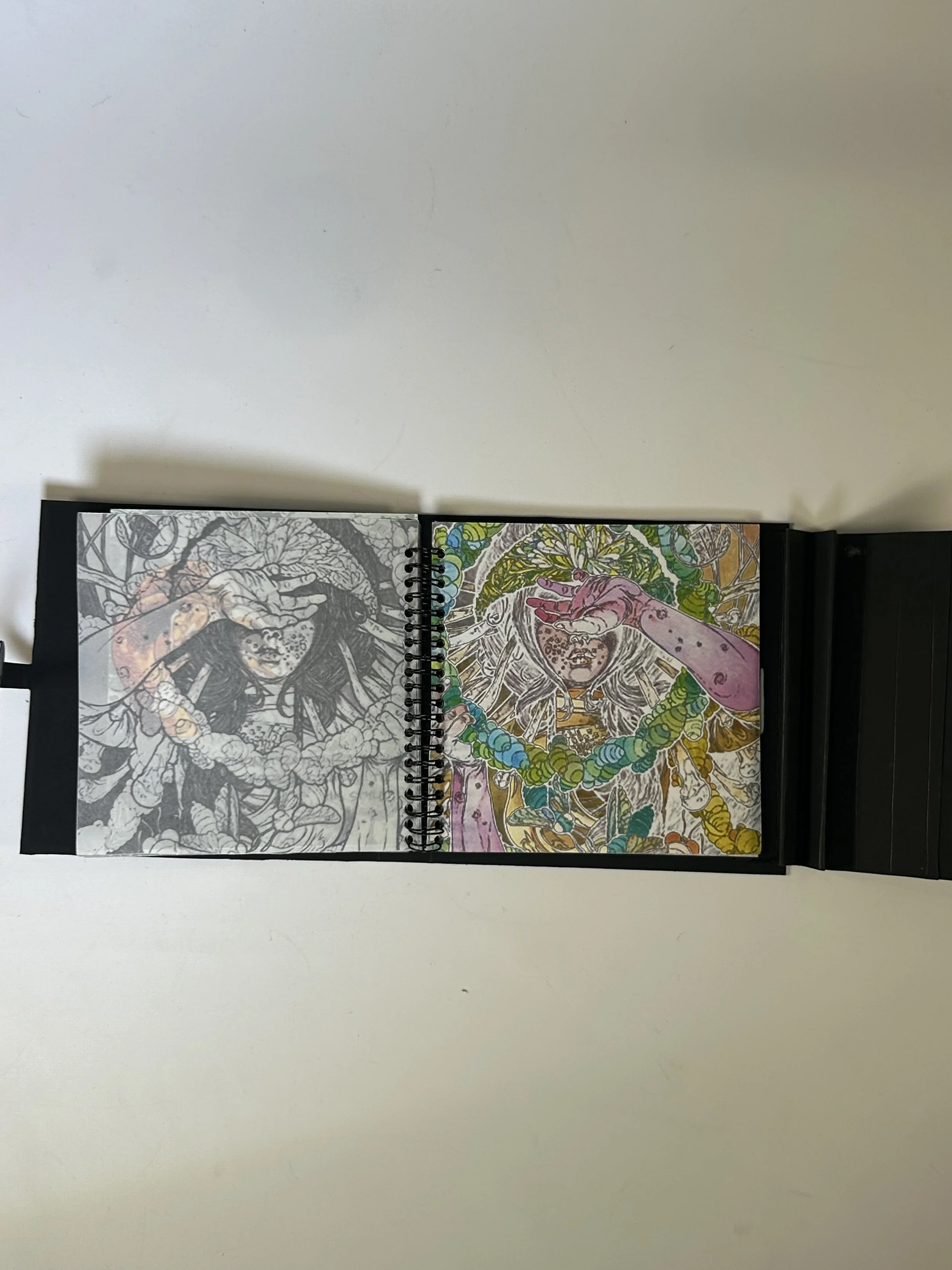 IMG_5373.jpeg