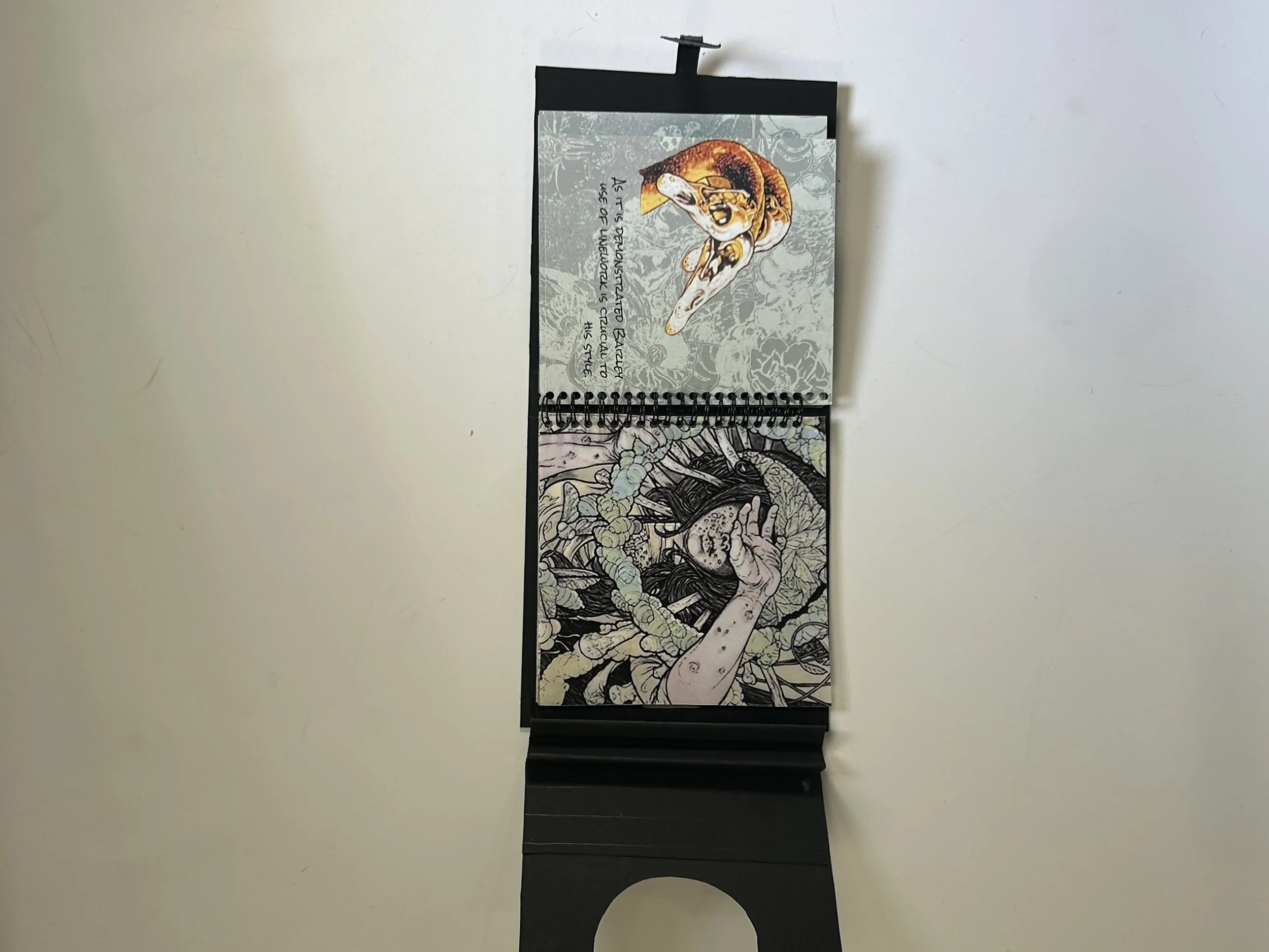 IMG_5369.jpeg