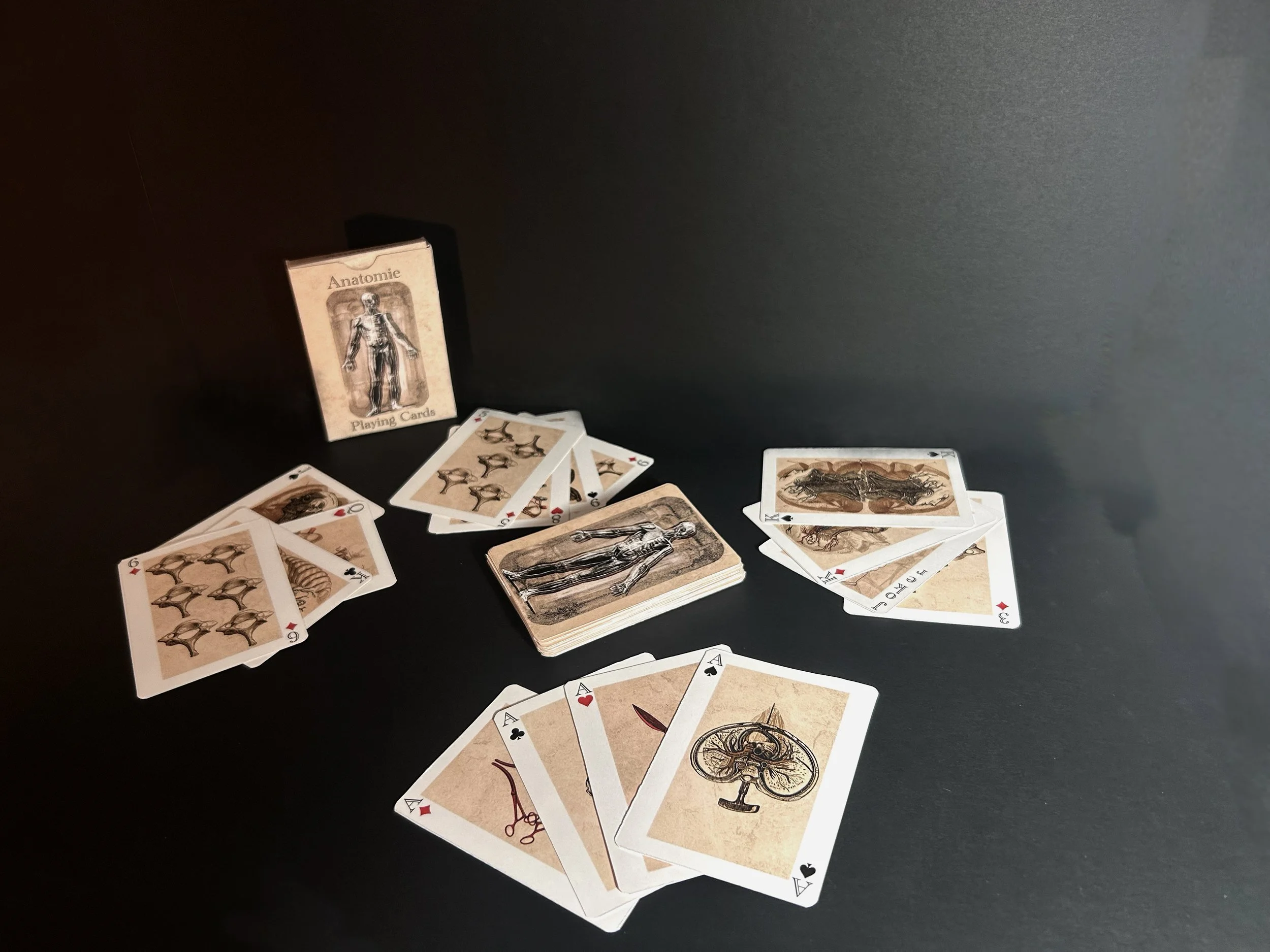 Anatomie Playing Cards