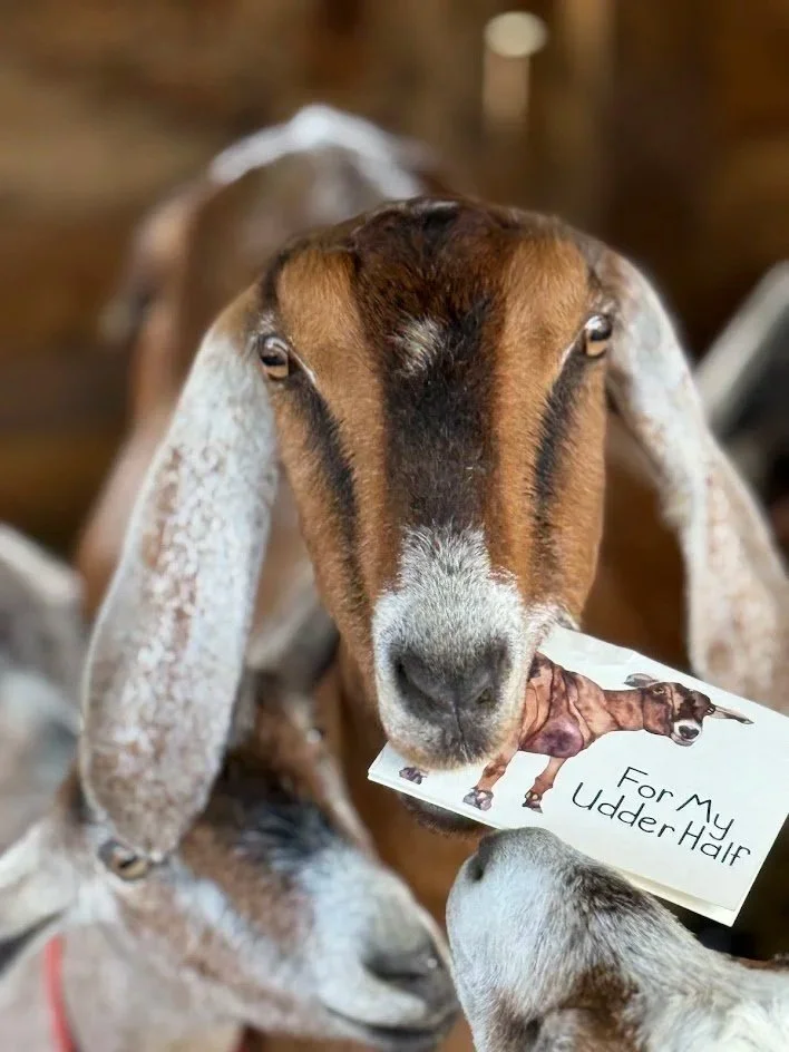 For My Udder Half