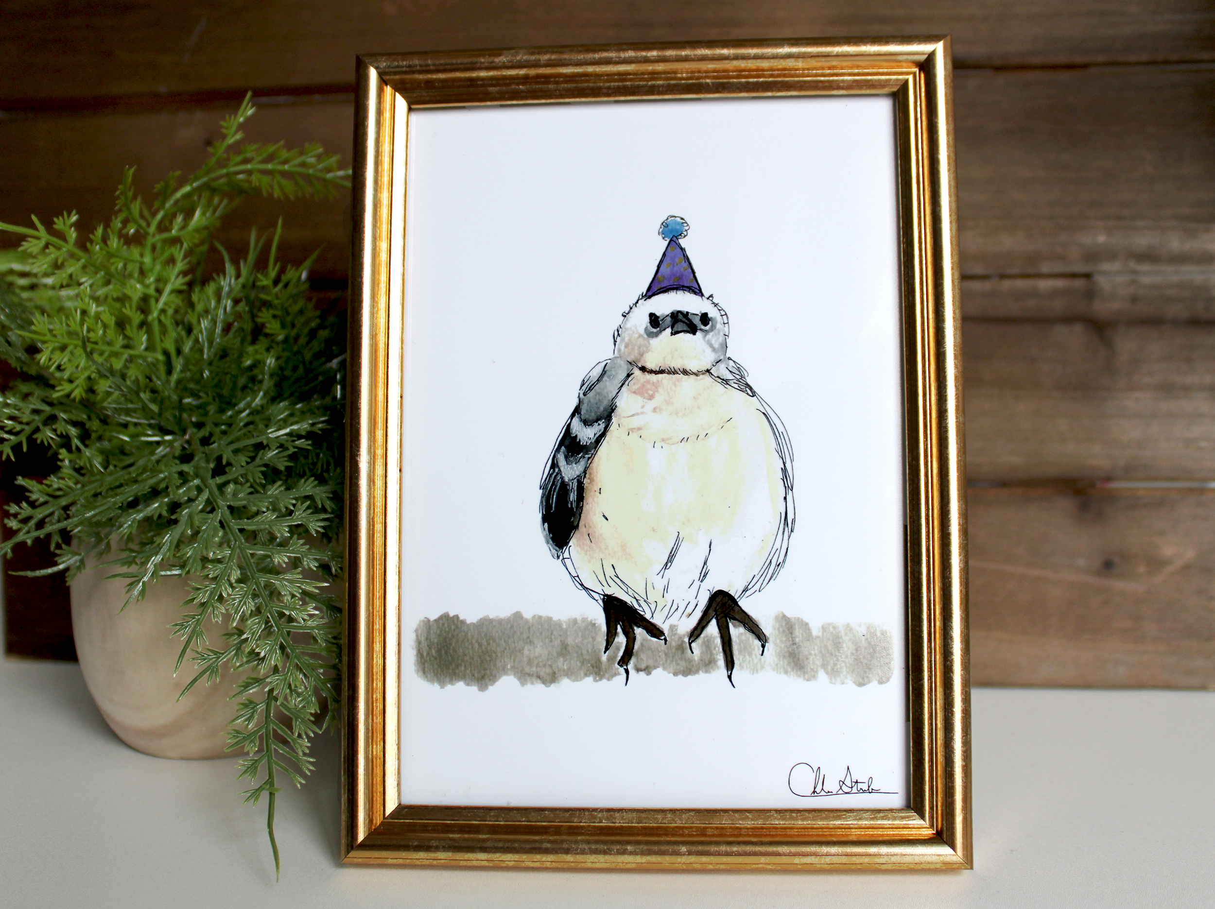 Nature Notes in Roggenart Catonsville