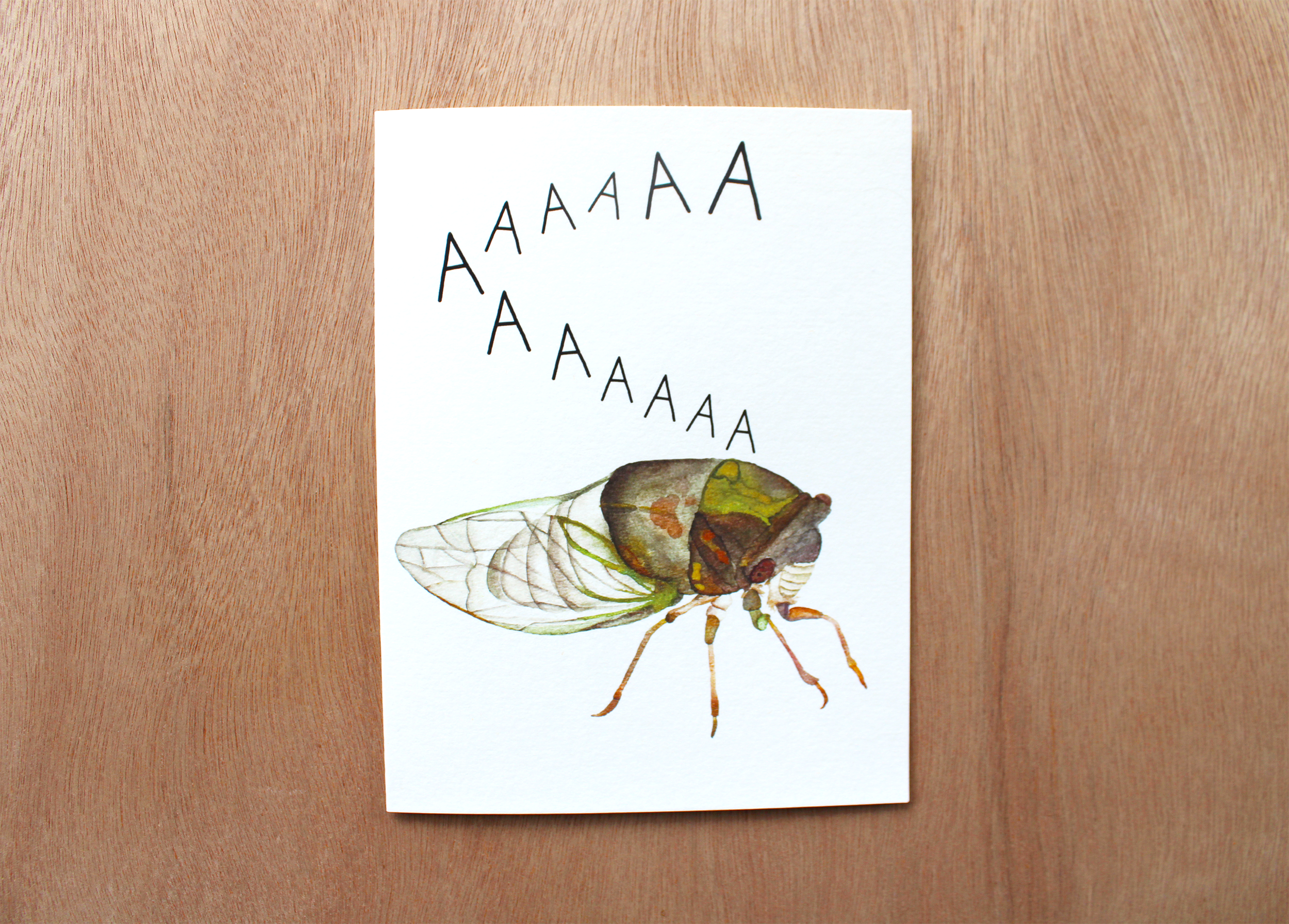 New Cicada Card 1.png