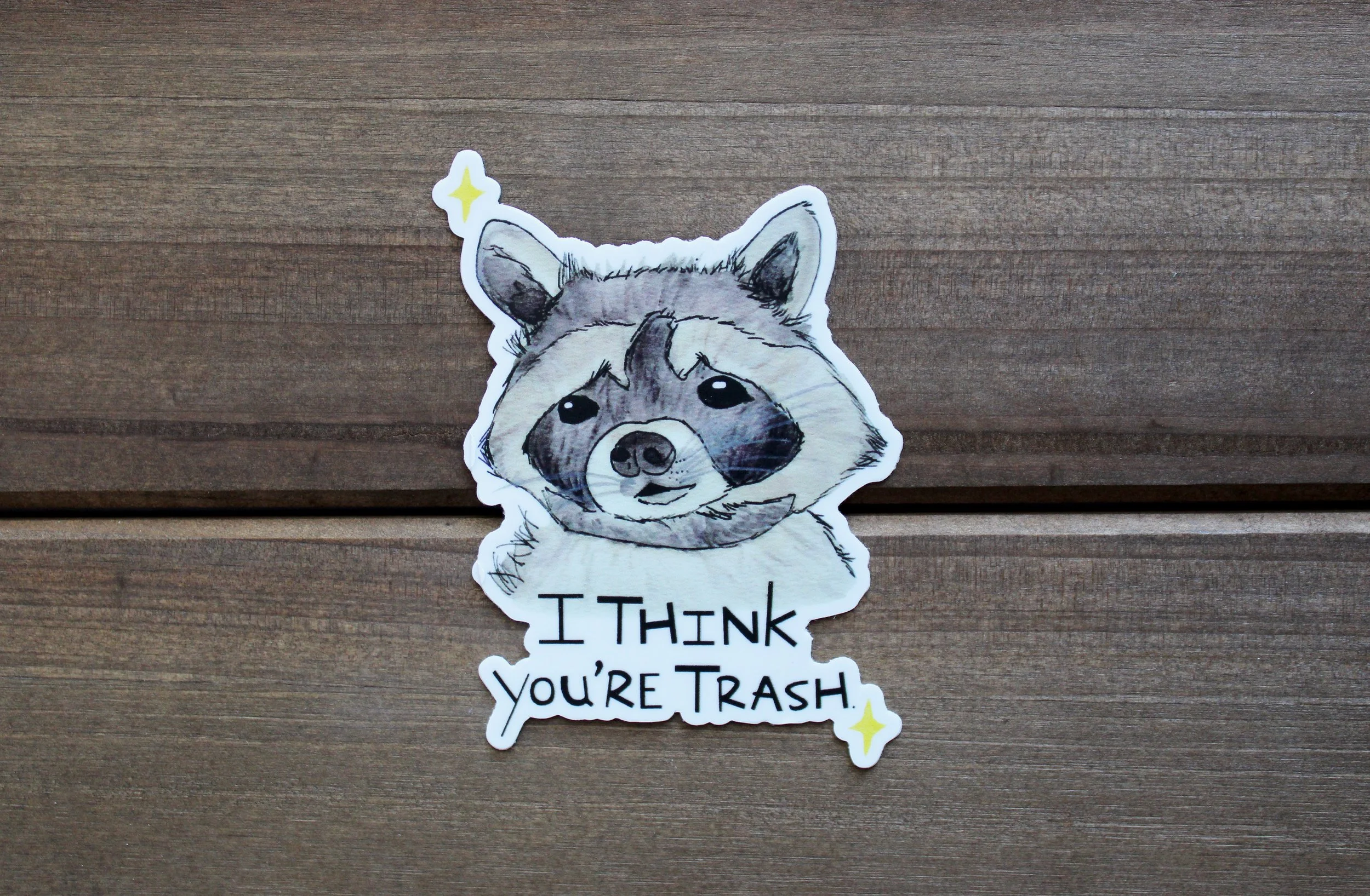 Racoon Sticker 1.jpg
