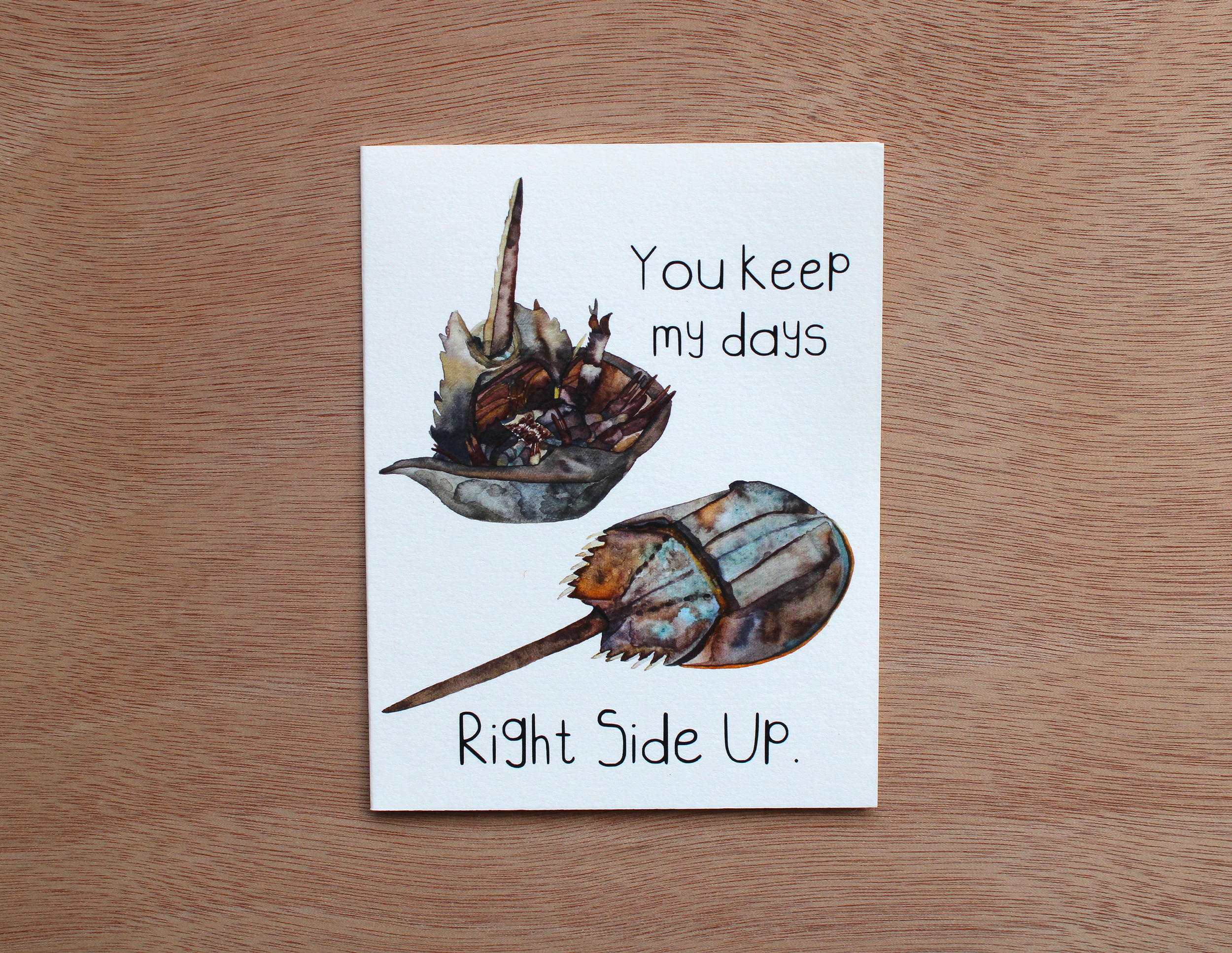 Horeshoe Crab Card 2.png