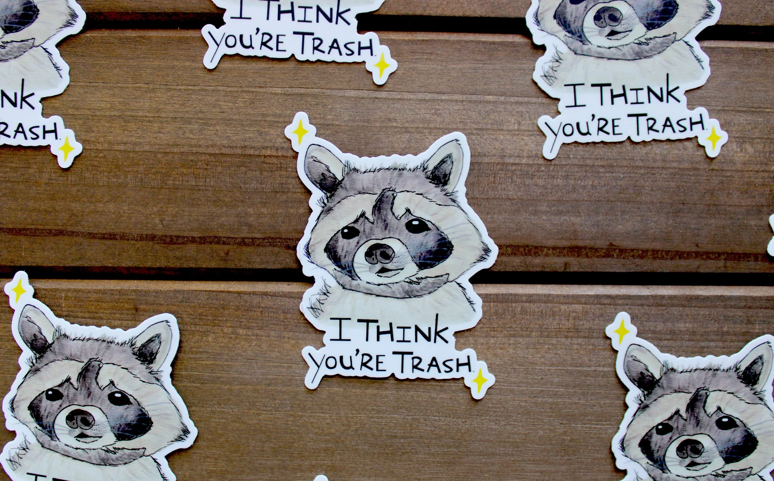 Racoon Sticker 2.jpg