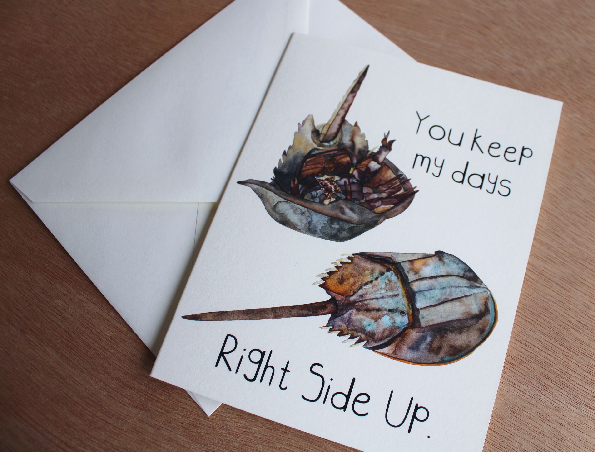 Horeshoe Crab Card 1.png