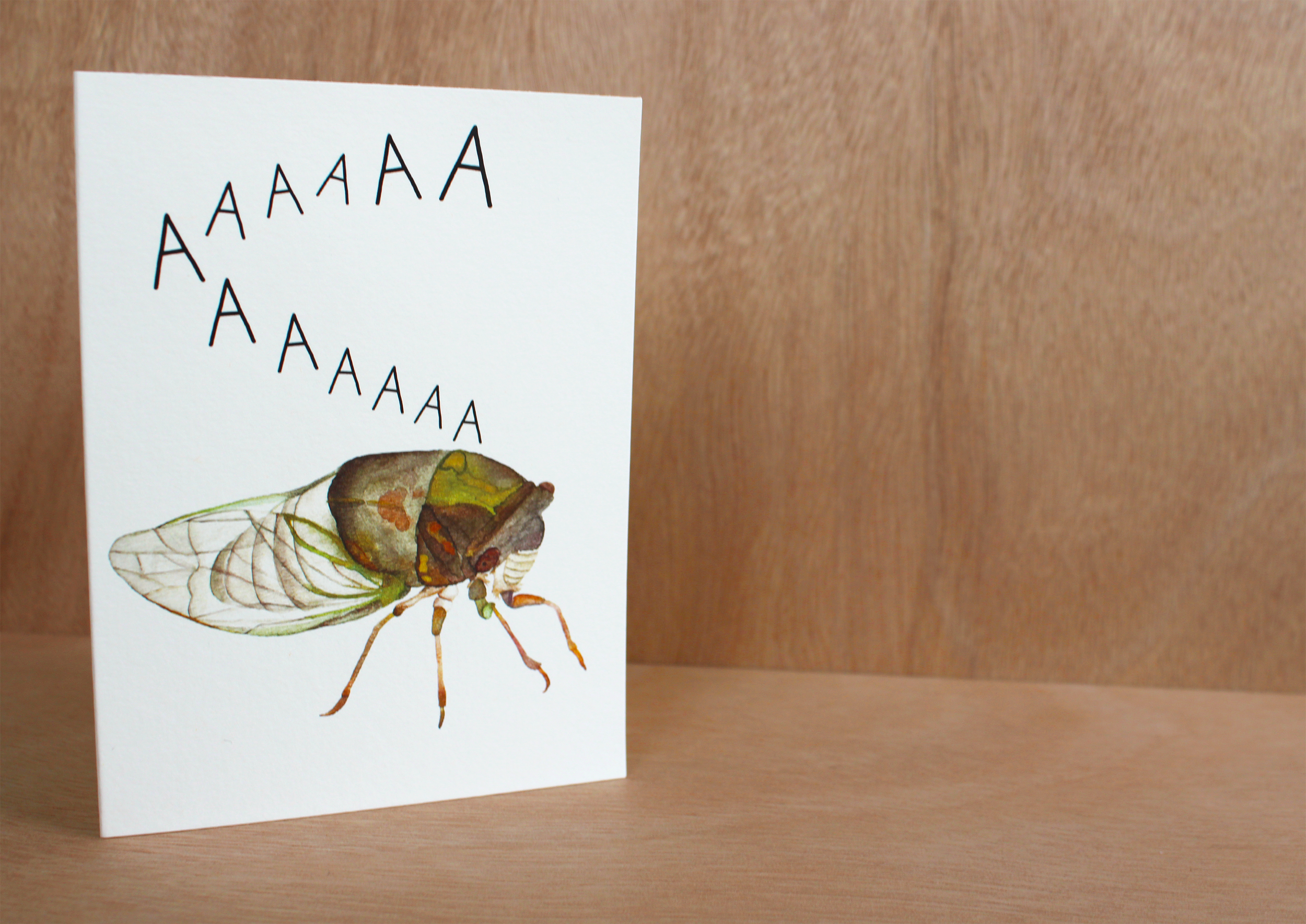 New Cicada Card 5.png