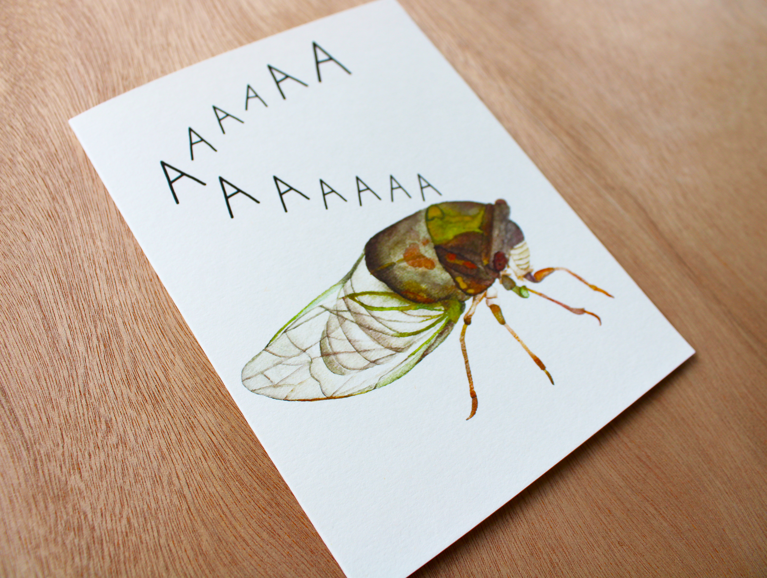Screaming Cicada