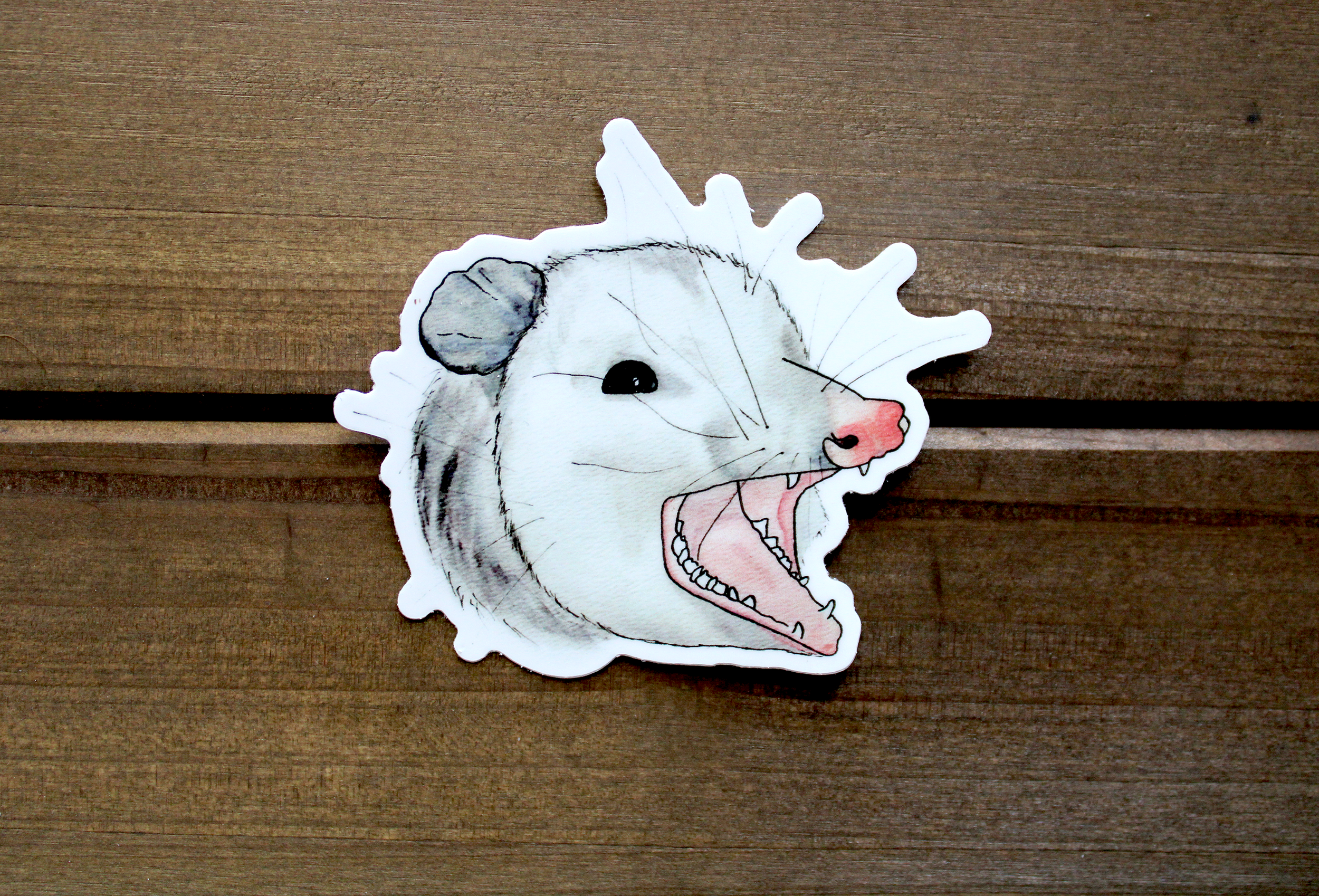 Opposum Sticker 2.2.png