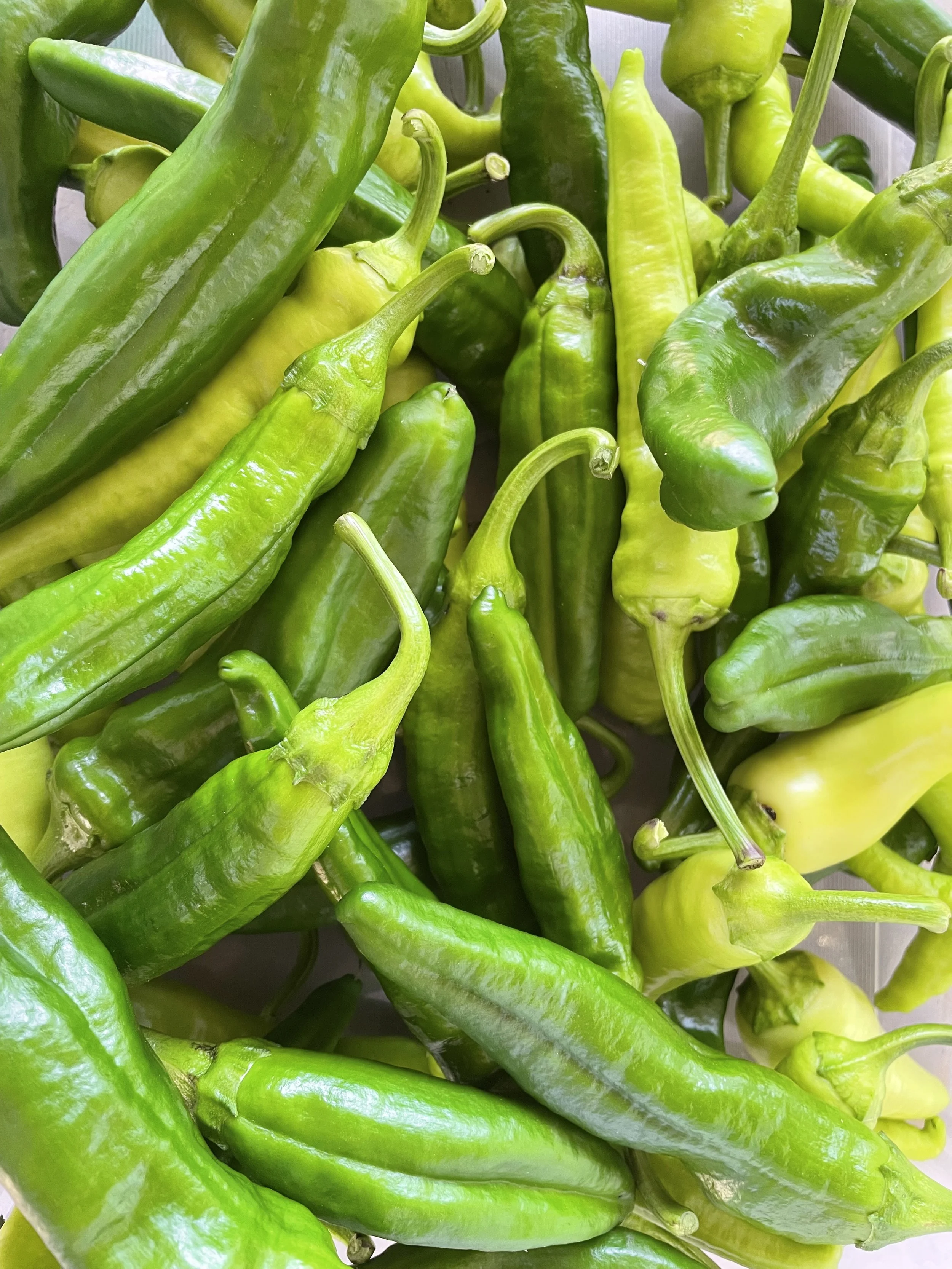 A close-up of a variety of fresh green peppers from Kind Folk Farm's CSA