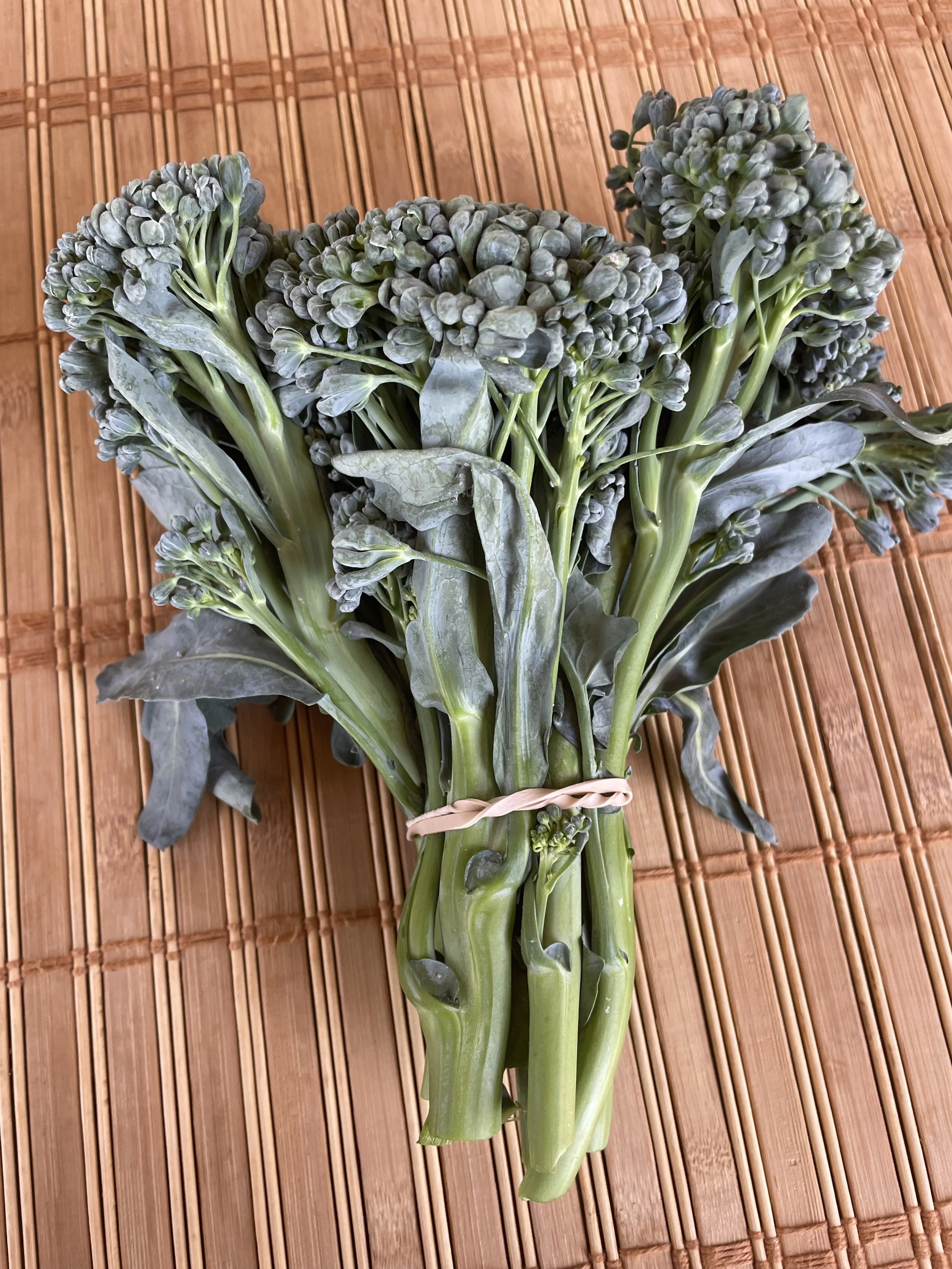 Fresh broccolini bunch tied with rubber band on a bamboo mat from Kind Folk Farm's CSA.