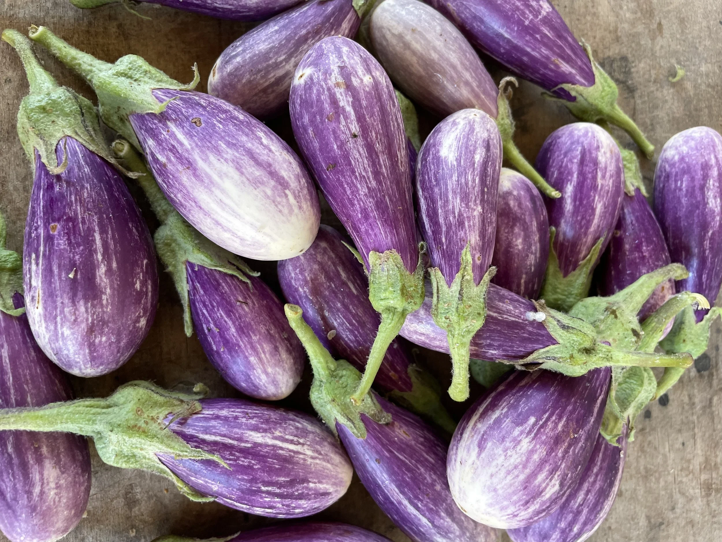 A close-up view of several purple and white striped eggplants from Kind Folk Farm's CSA on a wooden surface.