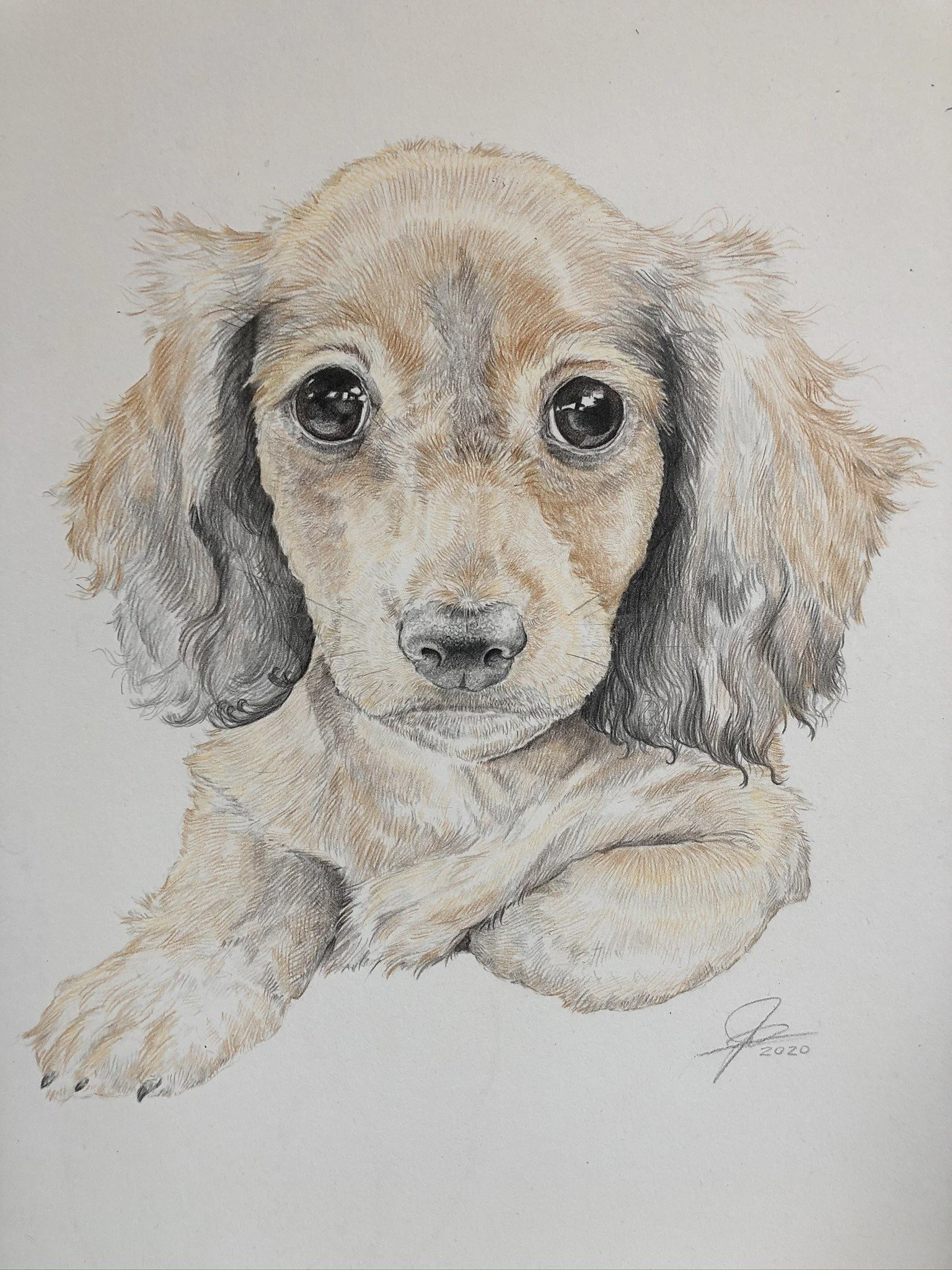 IMG_3001 upload.JPEG