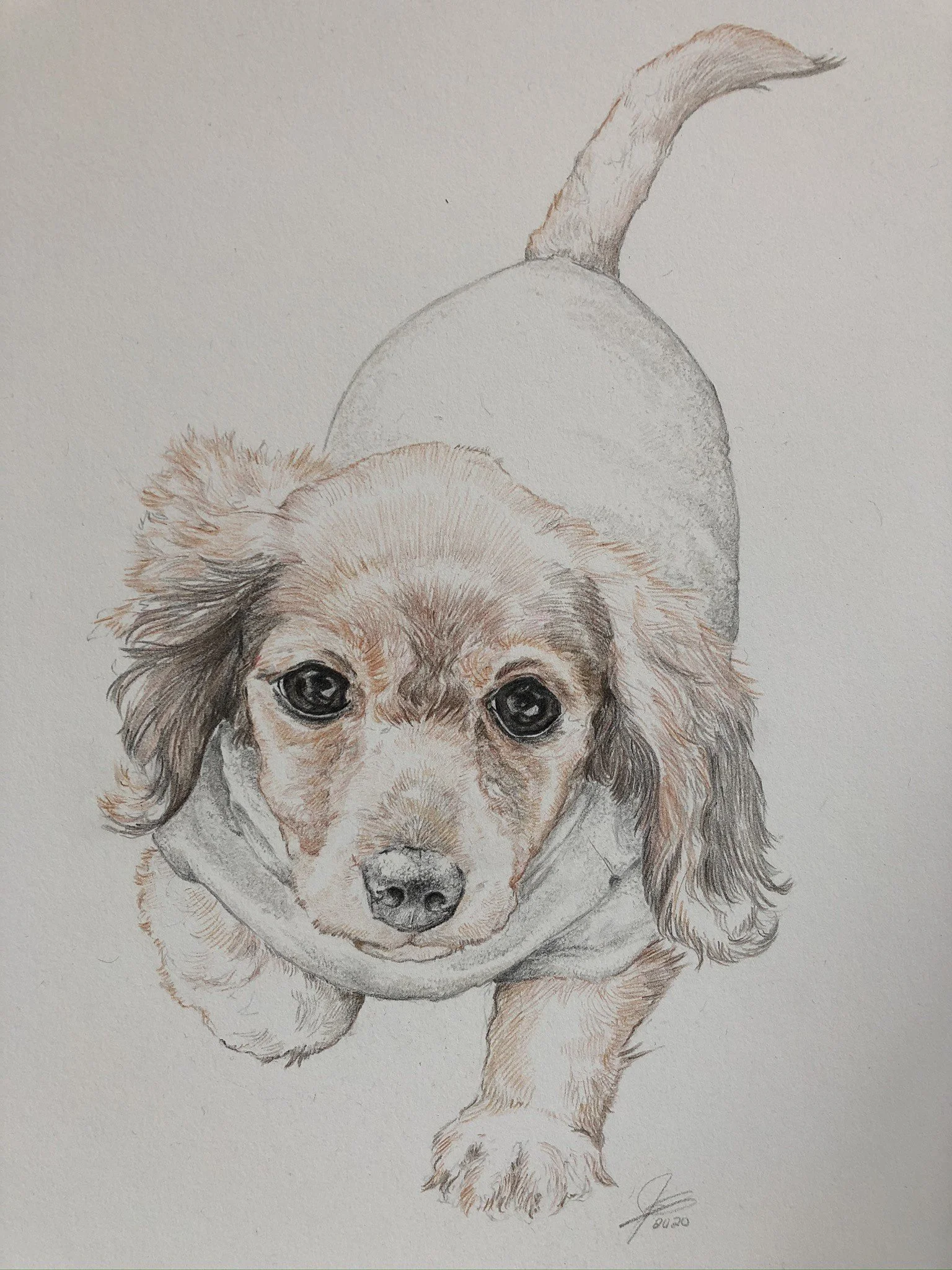 IMG_2998 upload.JPEG