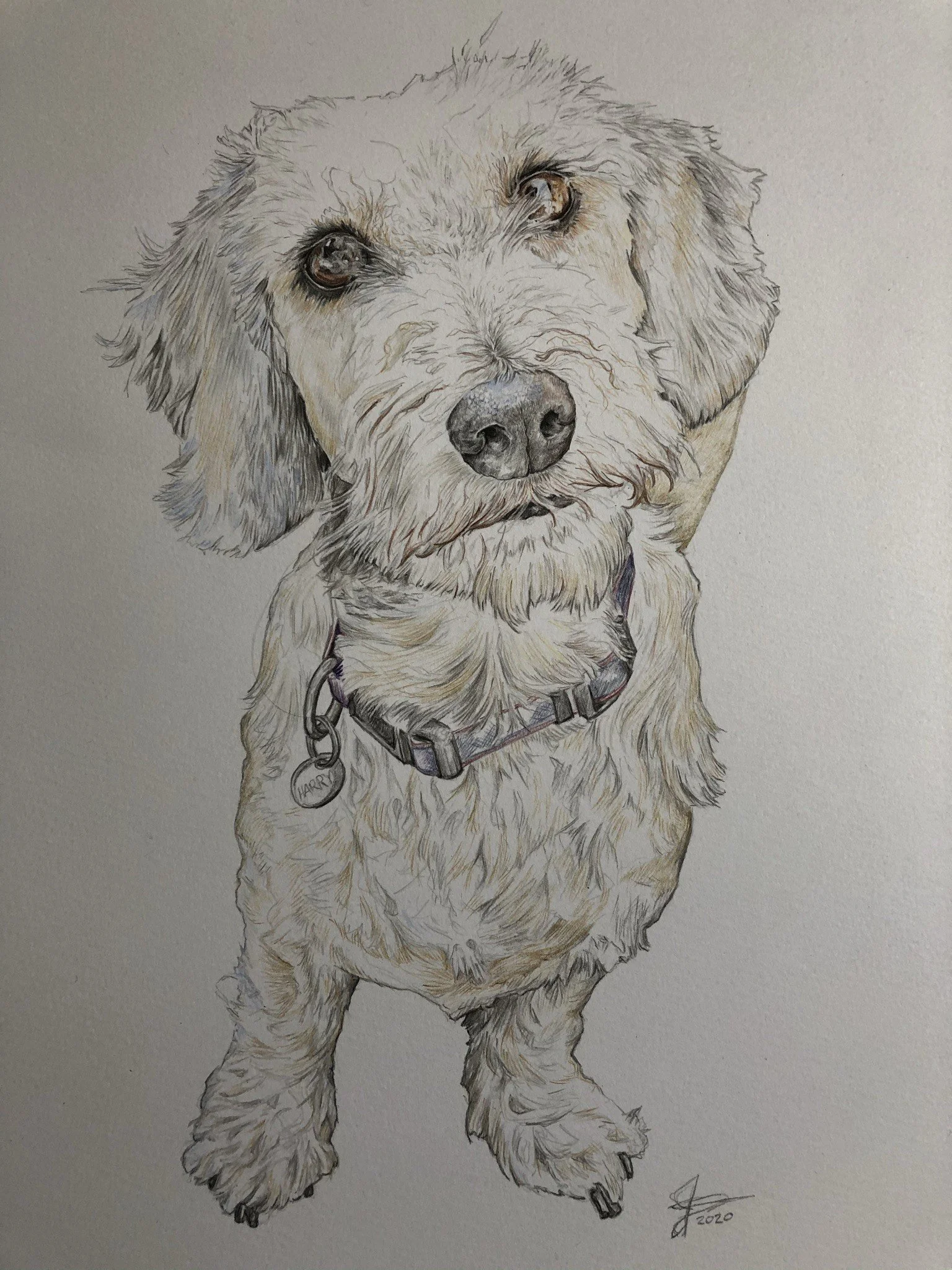 IMG_4216 upload.JPEG