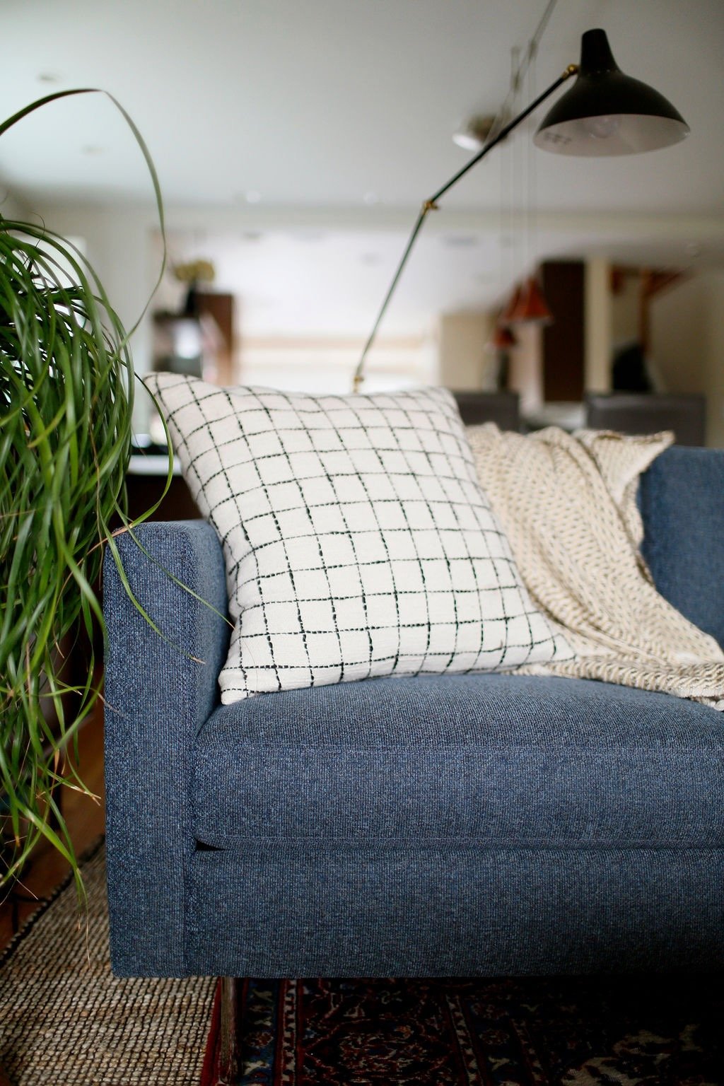 Close-up of a living room sofa with patterned pillows and a blanket, next to a green houseplant, in a well-lit modern interior.