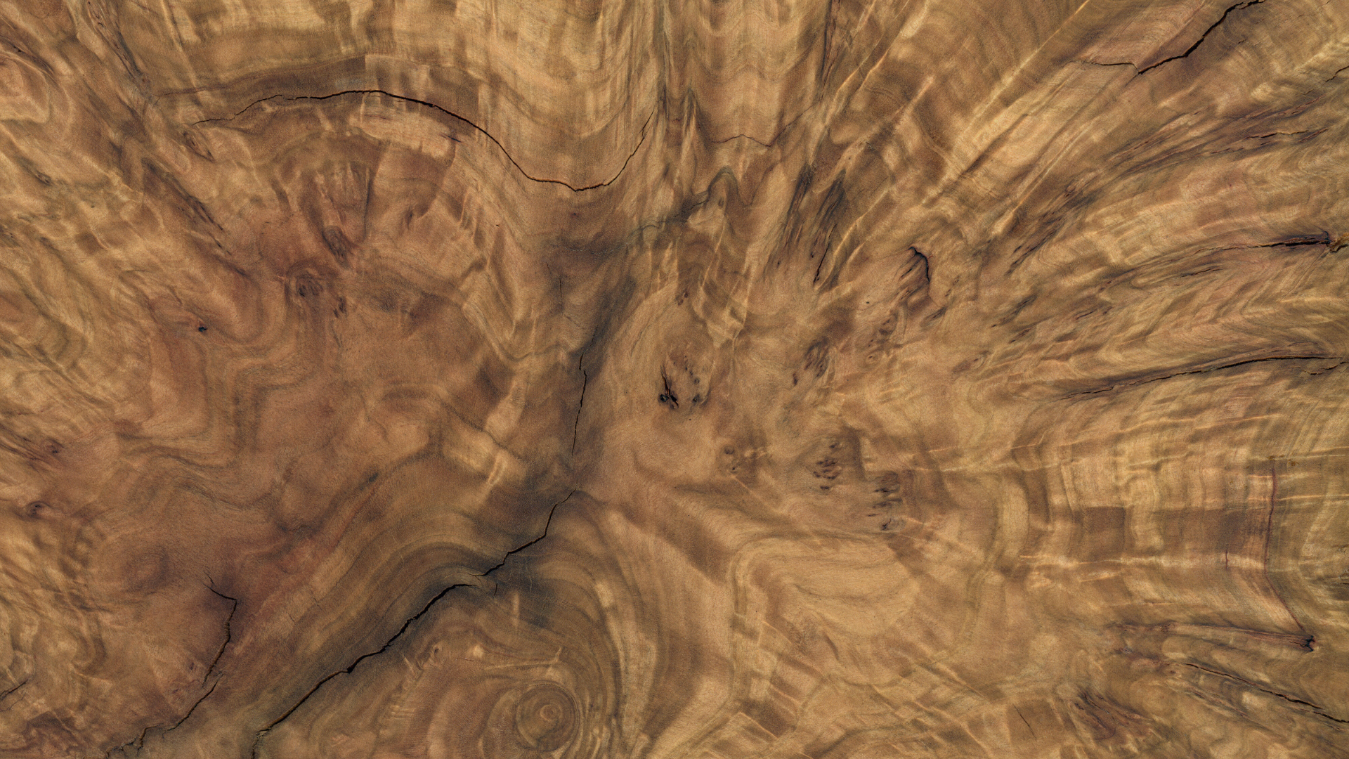 Close-up view of wood grain with natural swirling patterns and cracks.