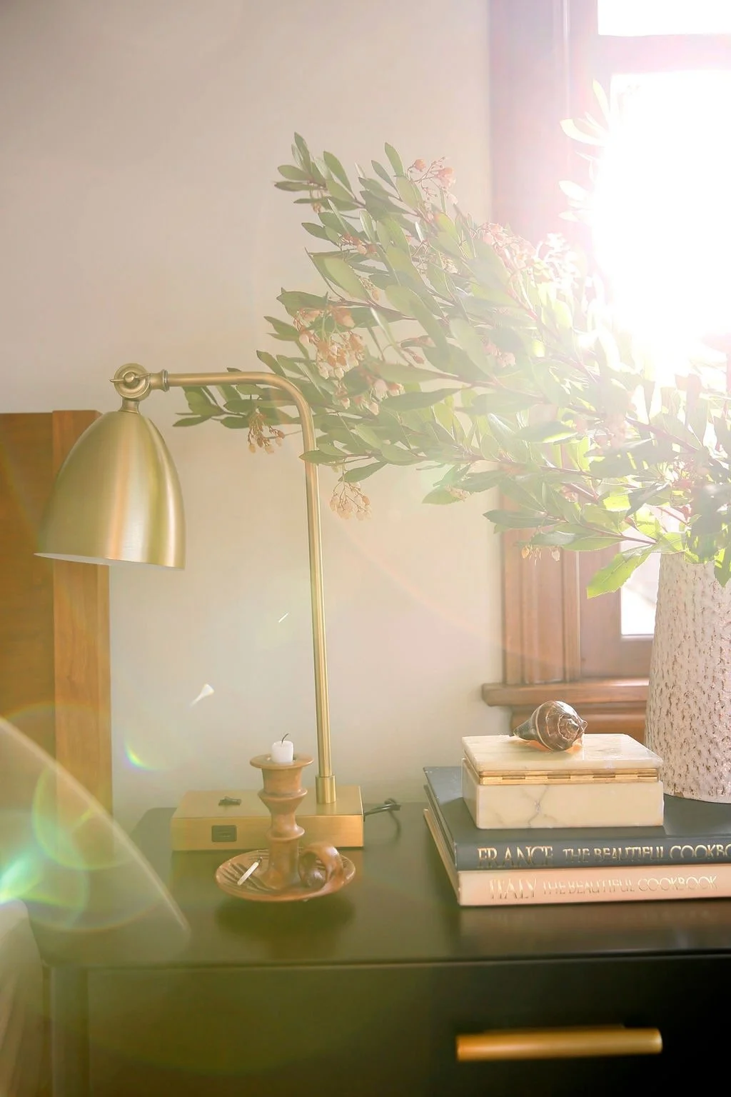 A ladder-style desk lamp, a potted plant on a wooden surface, stacked books, a shell, and a candle in a holder, with sunlight coming through a window.