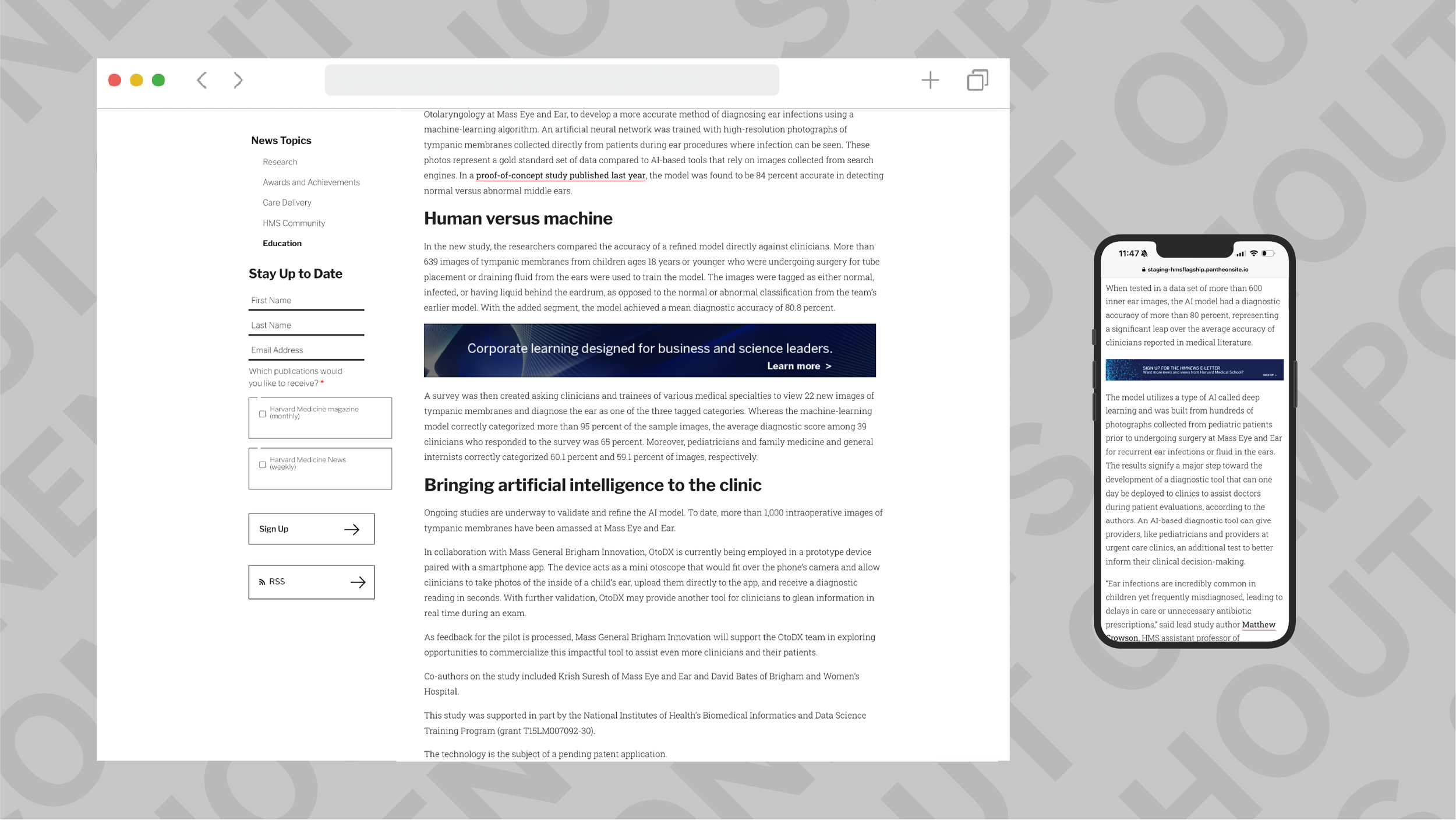 Brand & Visual Designs