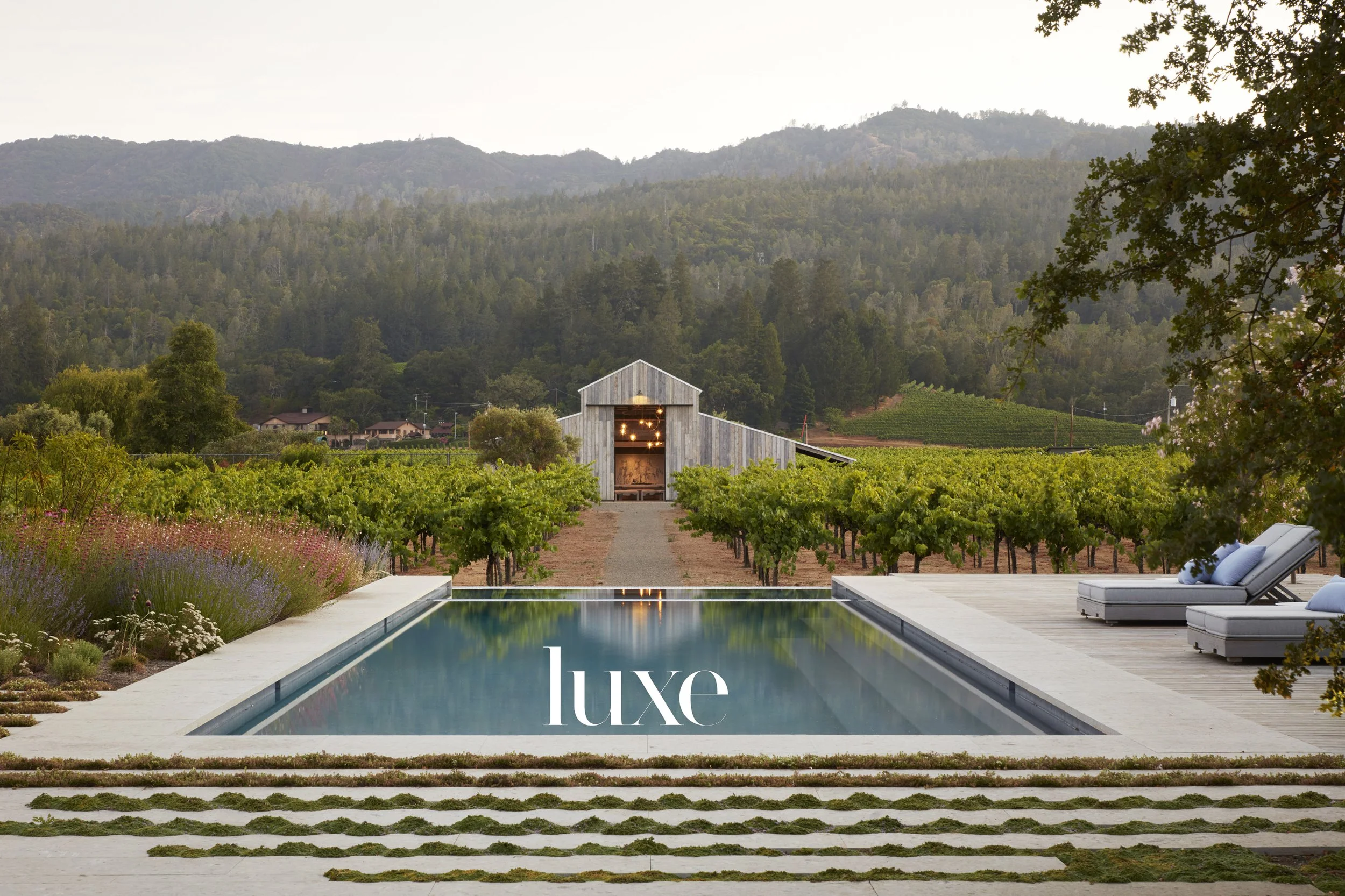 A luxurious outdoor swimming pool with a wooden deck and lounge chairs overlooks a vineyard with a barn and mountainous landscape in the background, with the word 'luxe' overlayed on the water.
