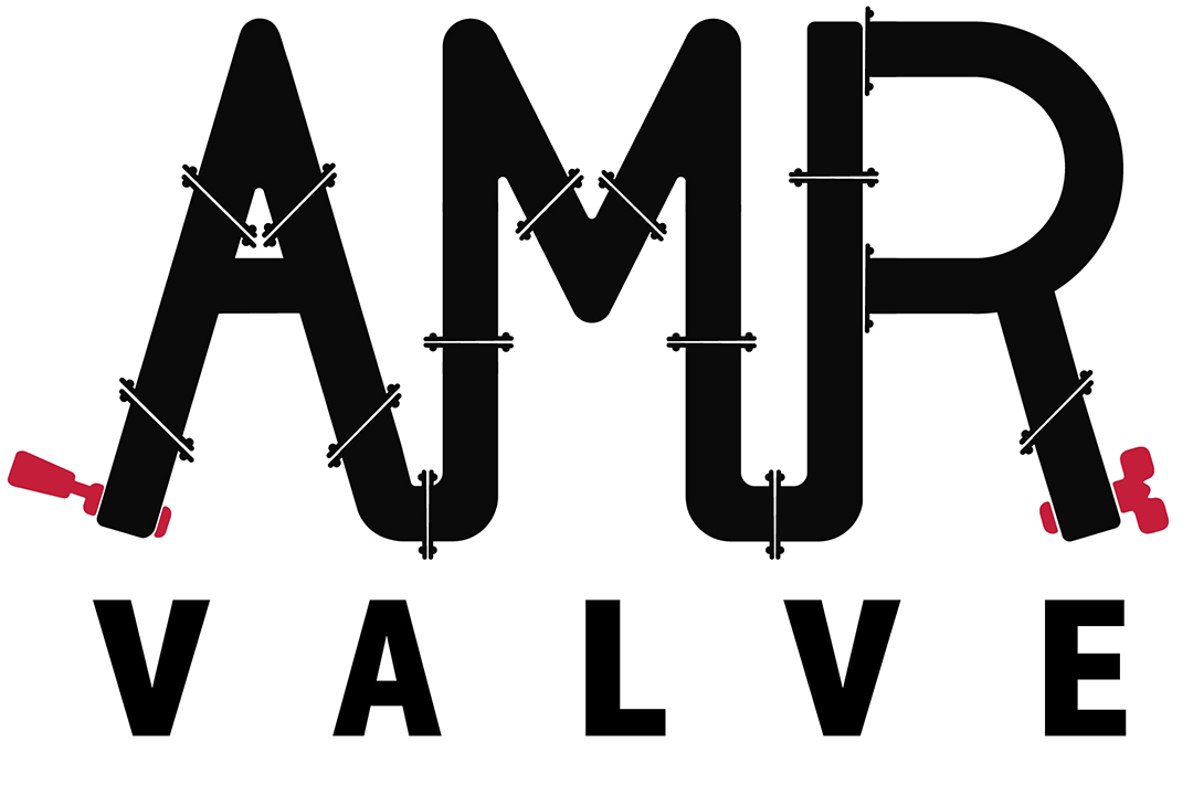 AMR Valve Consulting | Industrial Valves  