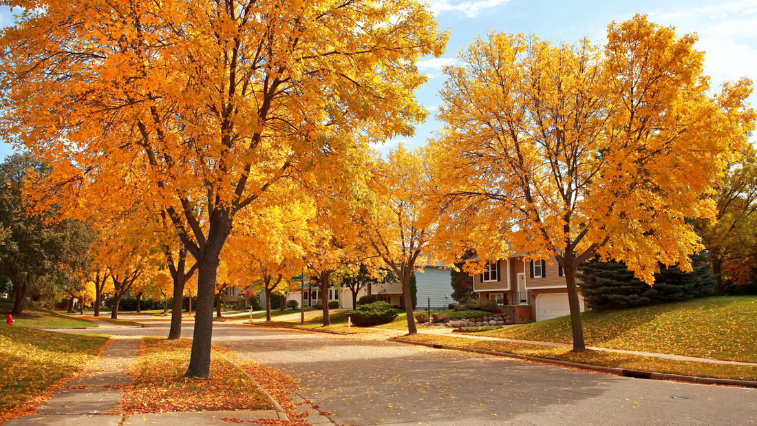 More Homes to Compare This Fall?  How to Choose Well