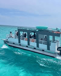 image.png (Copy) (Copy)