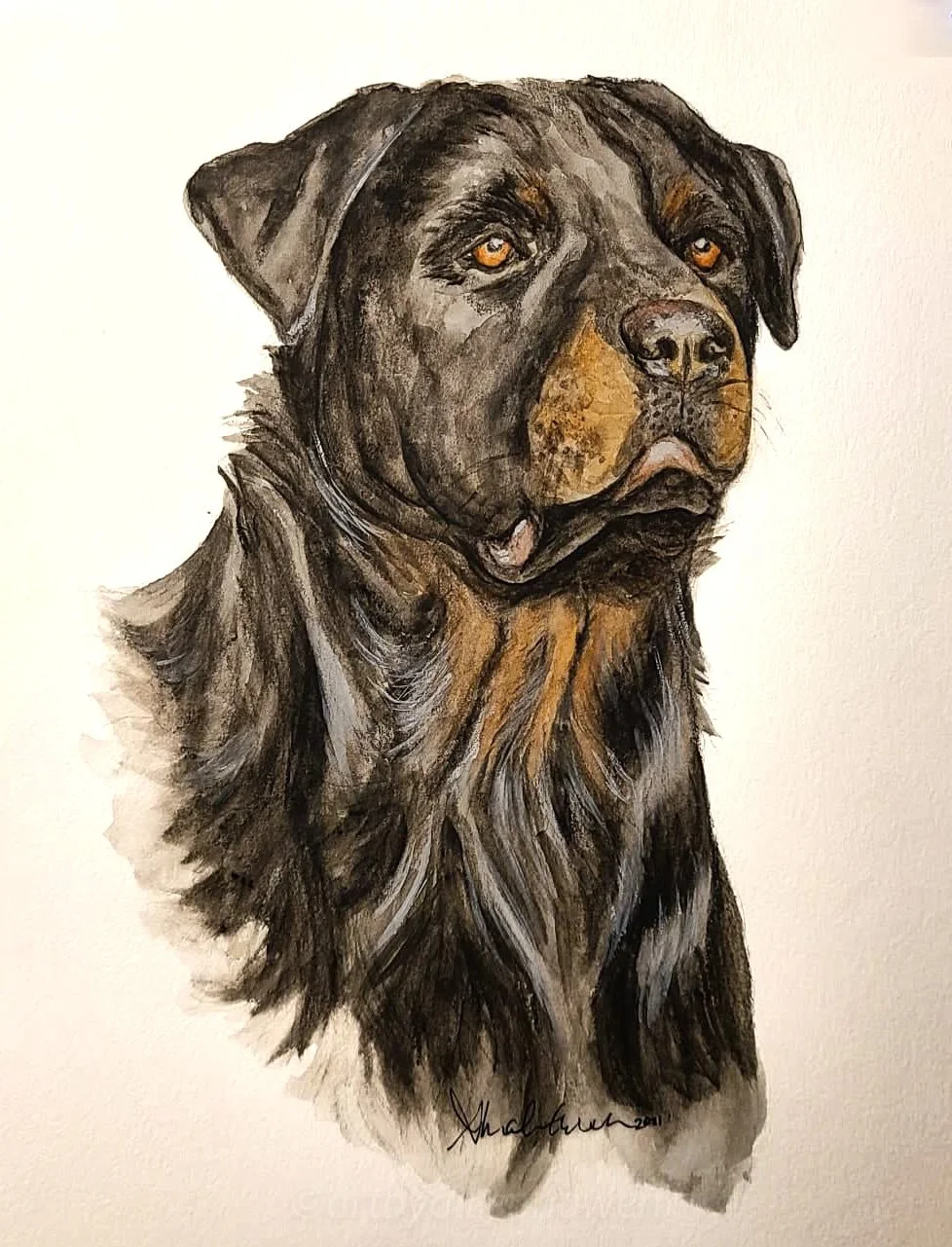 custom watercolor dog portrait