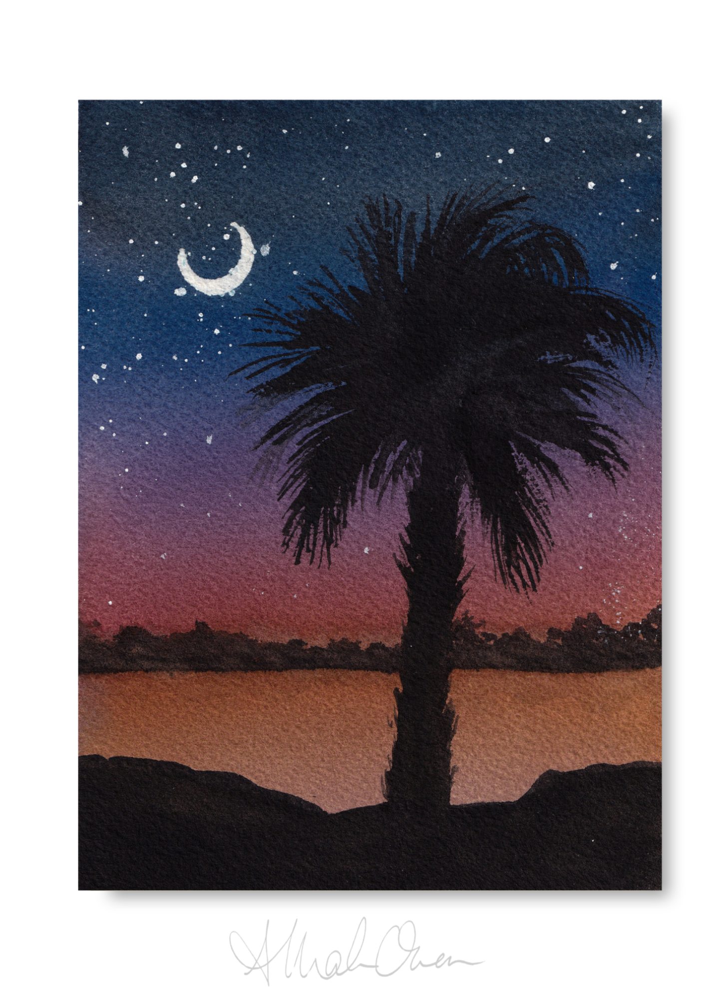 Palmetto Tree