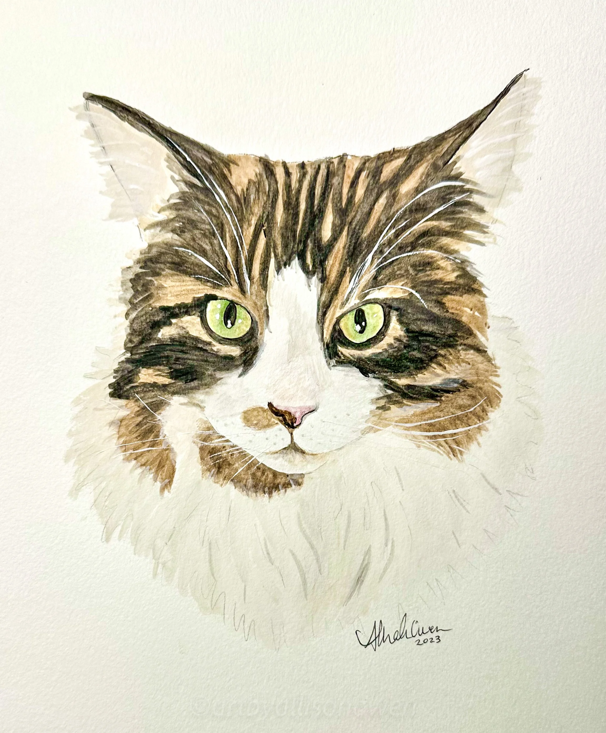 custom watercolor cat portrait