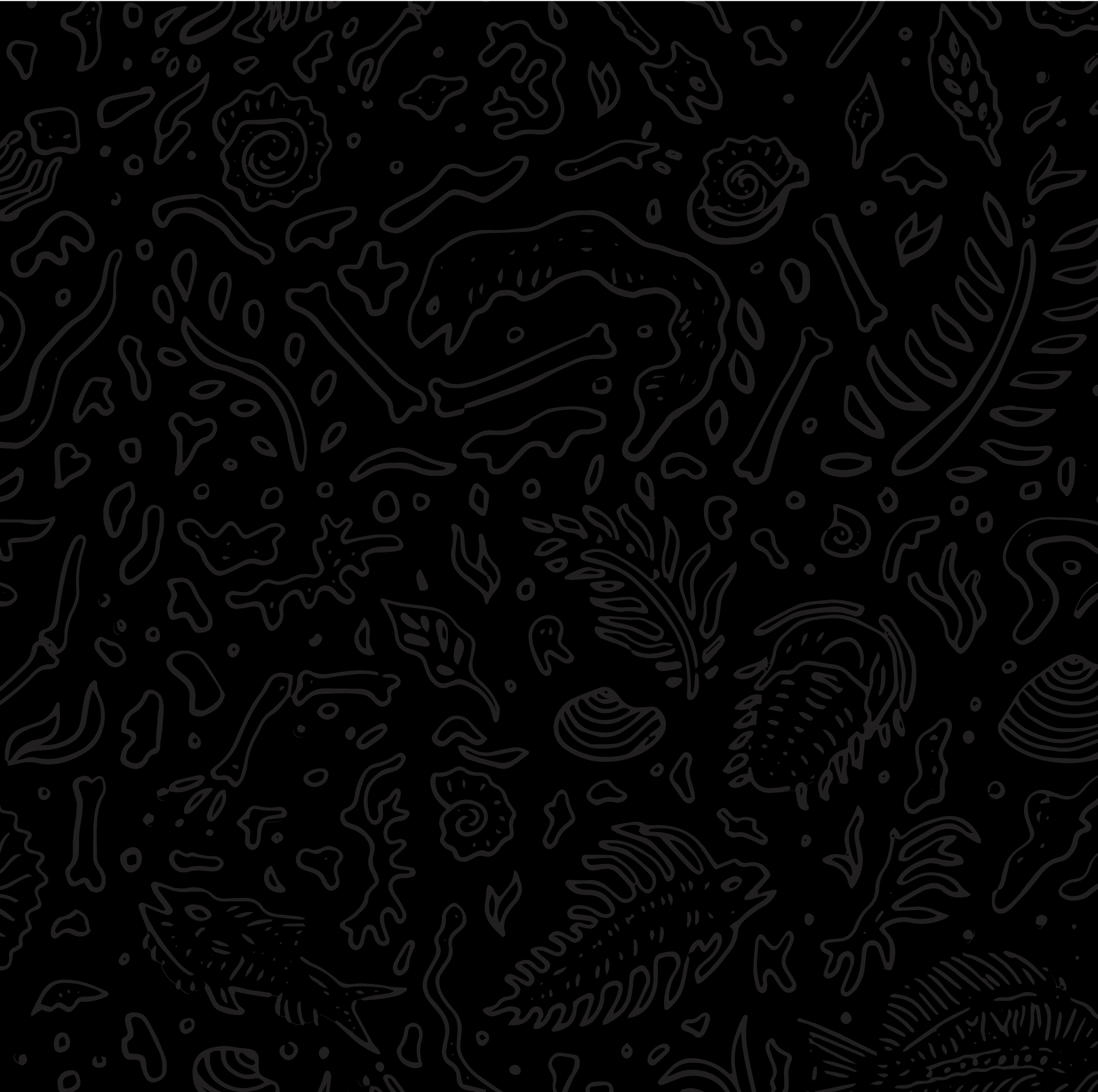 Slowpoke Studio’s redesign of Wiseacre Brewing Company: tonal variation of Memphis Sands pattern