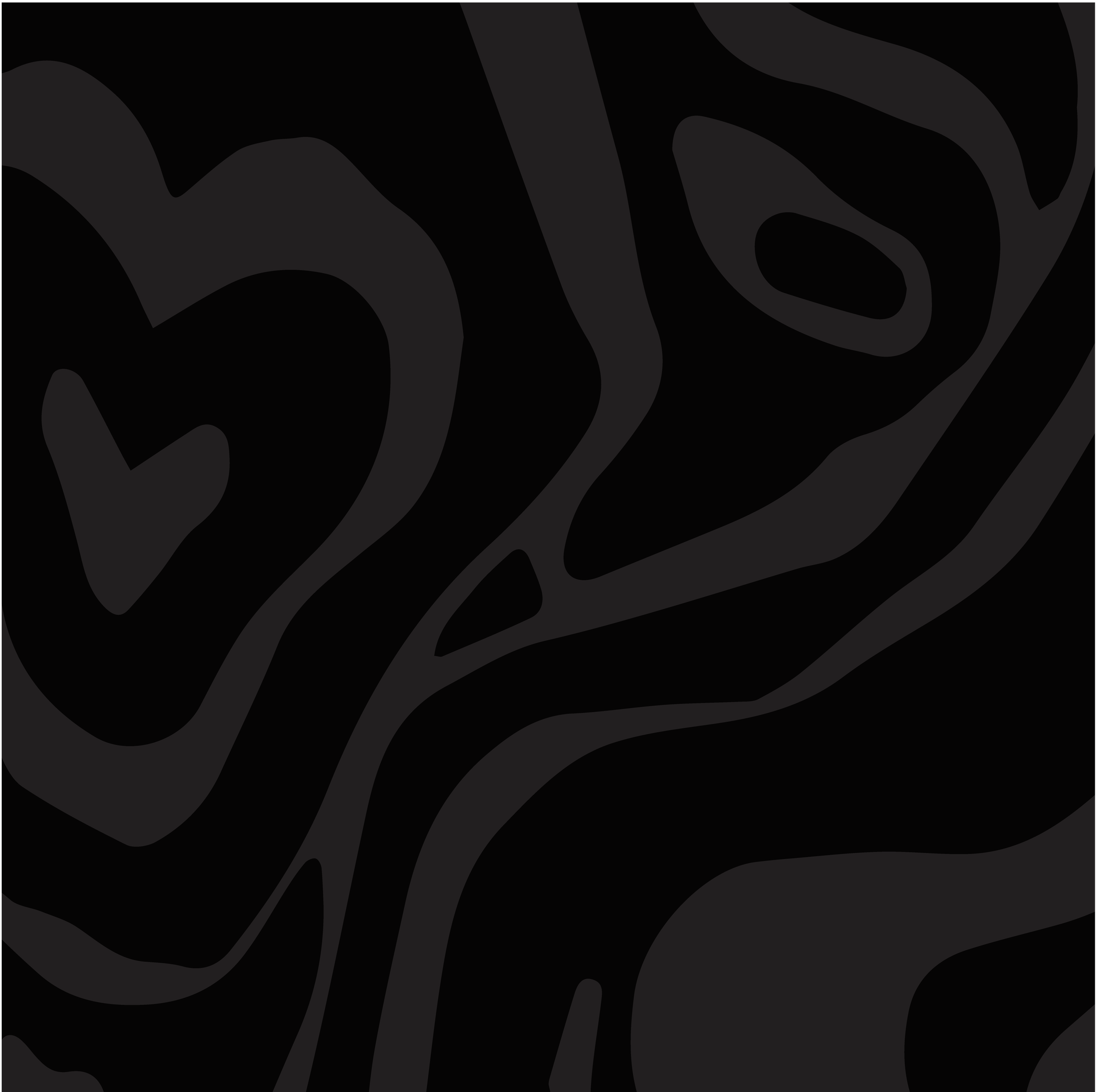 Slowpoke Studio’s redesign of Wiseacre Brewing Company: tonal variation of Hop Zip pattern