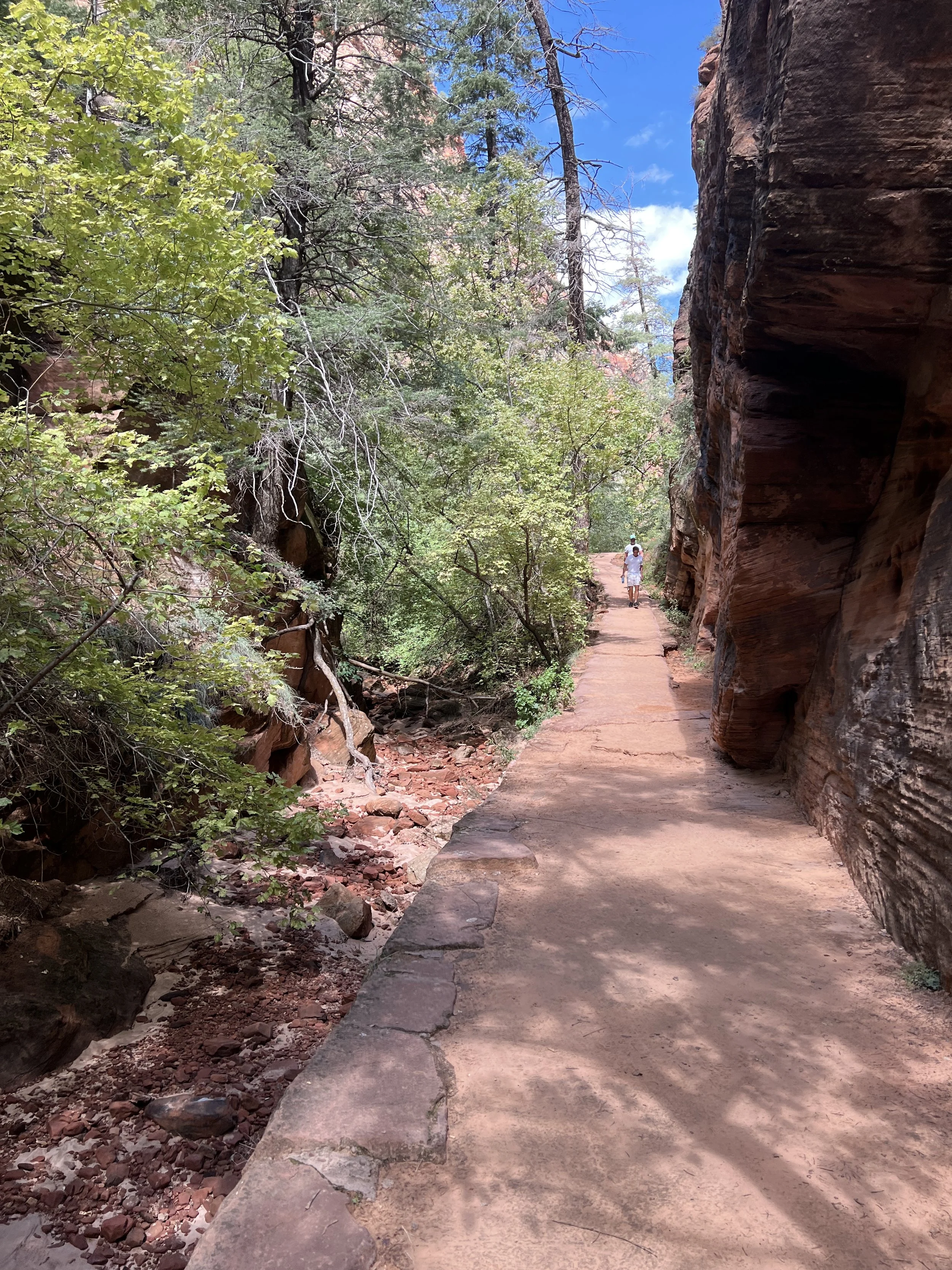 DJI_20220915_125445_470 2.JPG