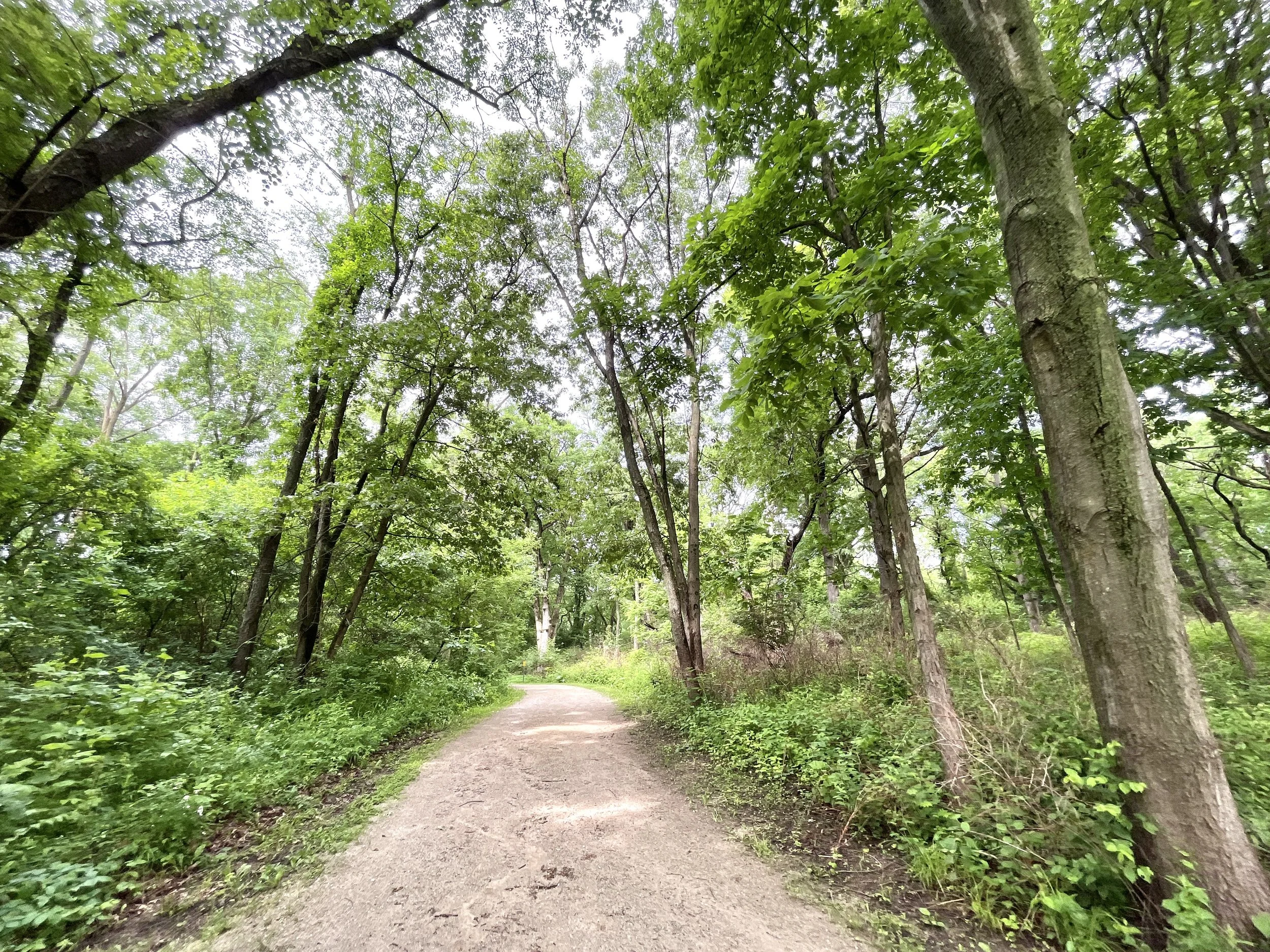 DJI_20220611_092132_746 2.jpg