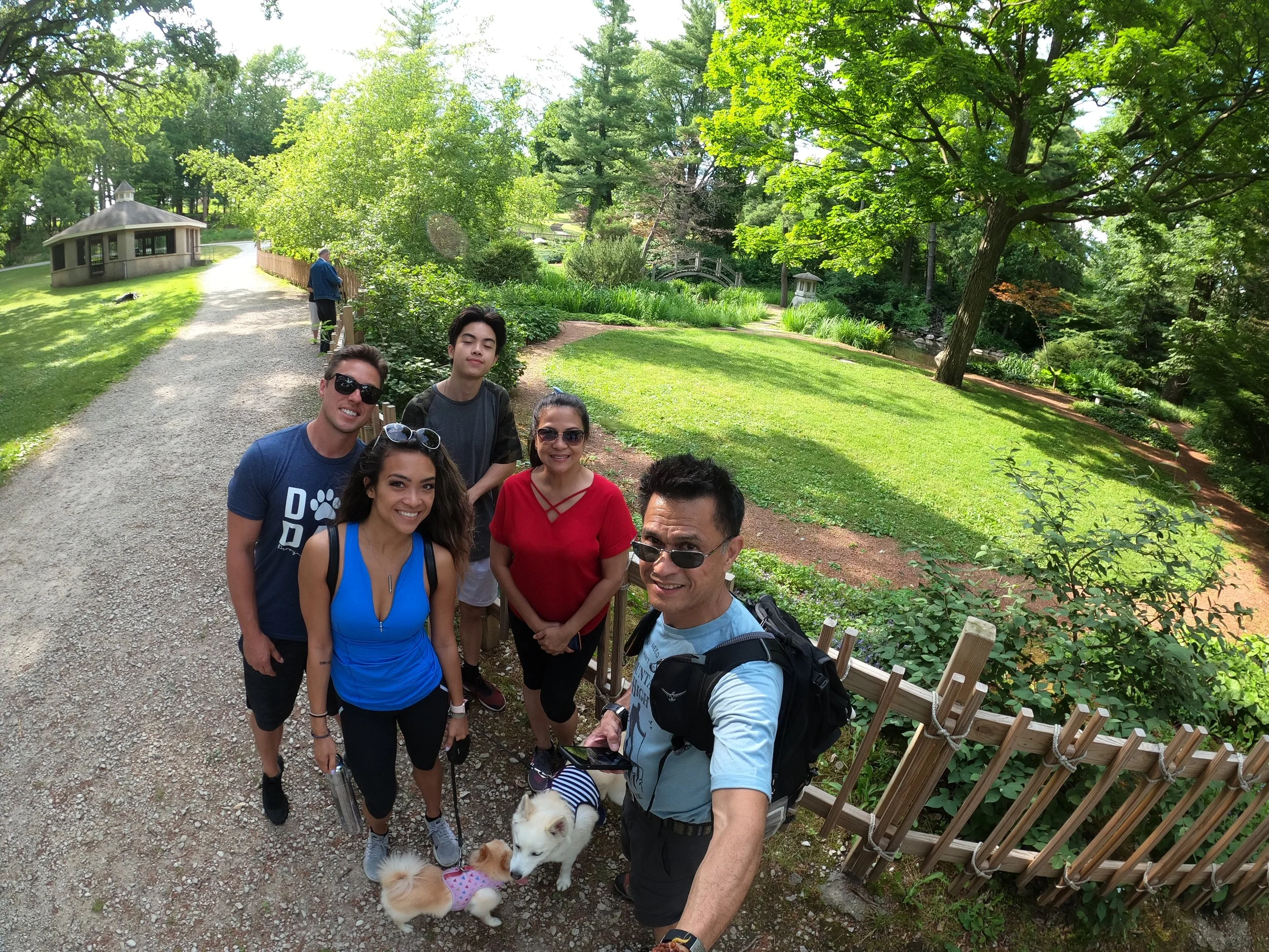 GPTempDownload 13.JPG