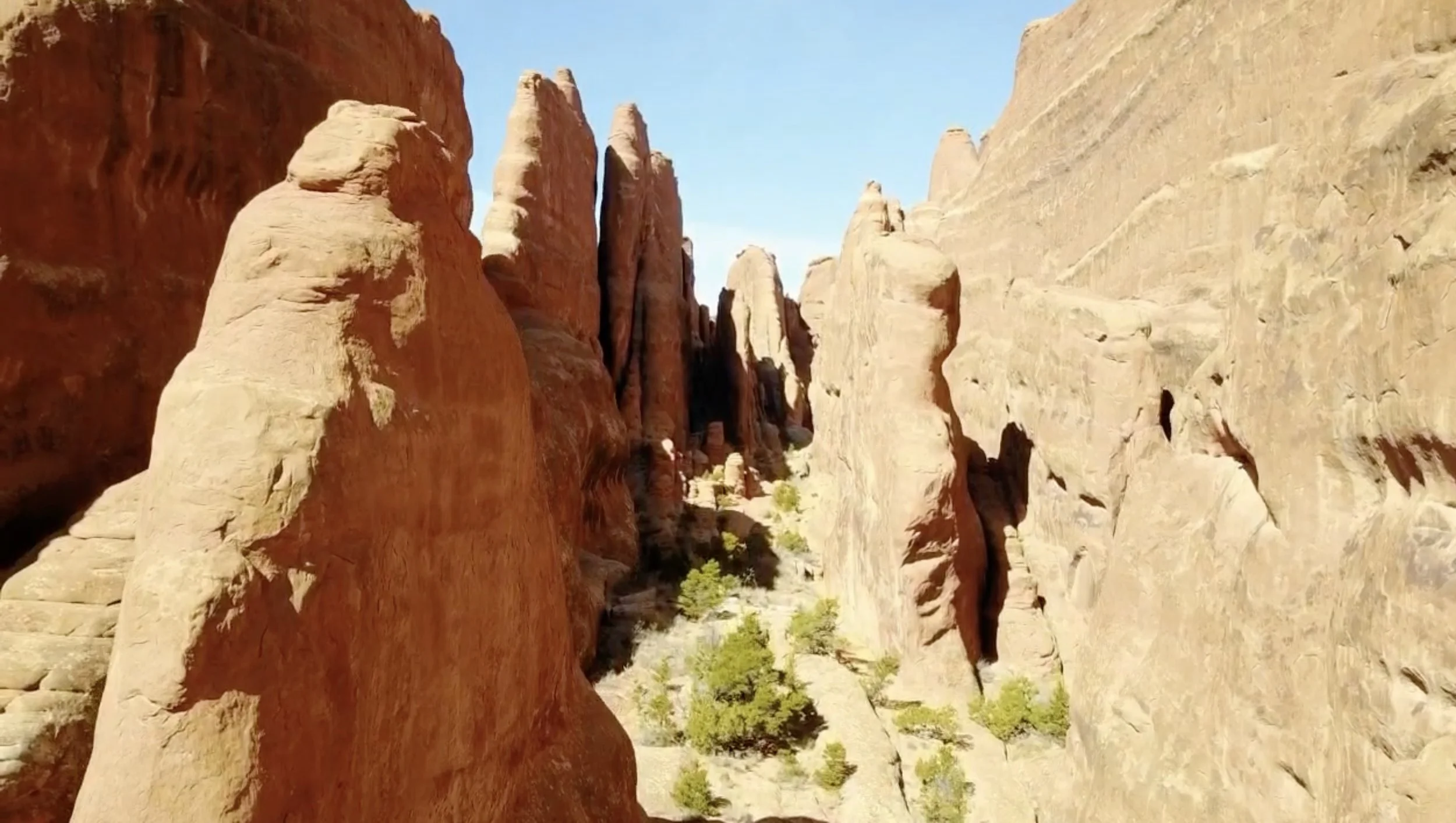 Image 2-2-26 at 2.38 PM.jpg