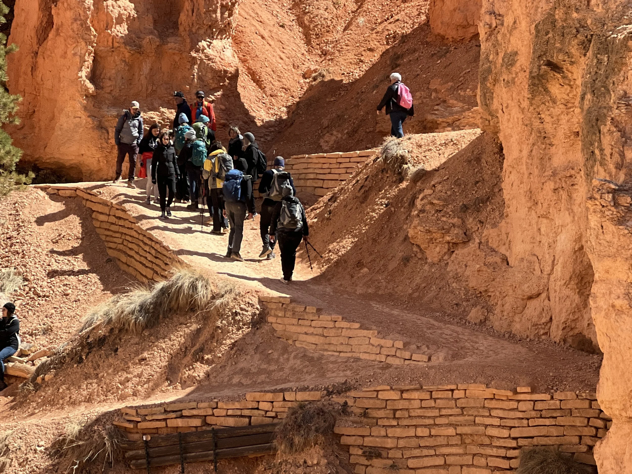 DJI_20220422_112220_029 2.JPG