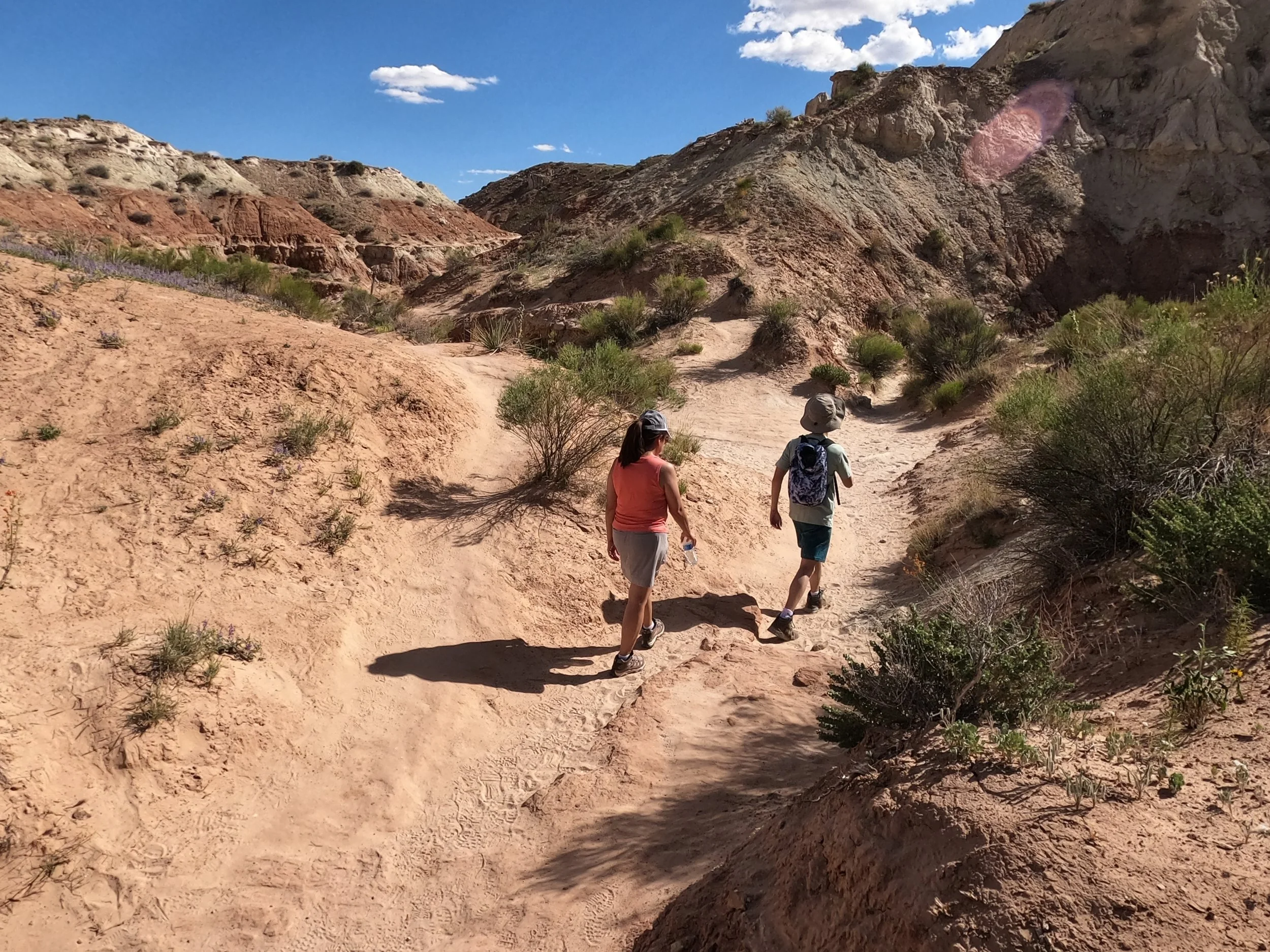 GPTempDownload 40.JPG