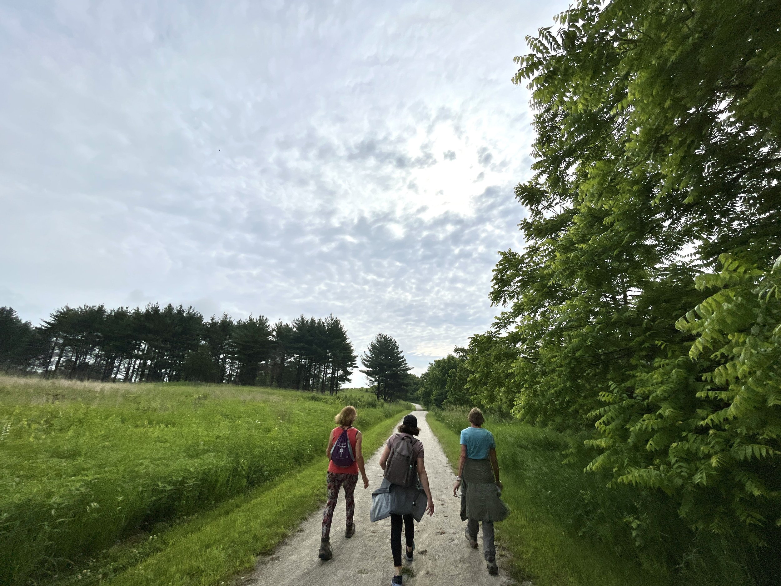 DJI_20220611_085654_915 2.jpg