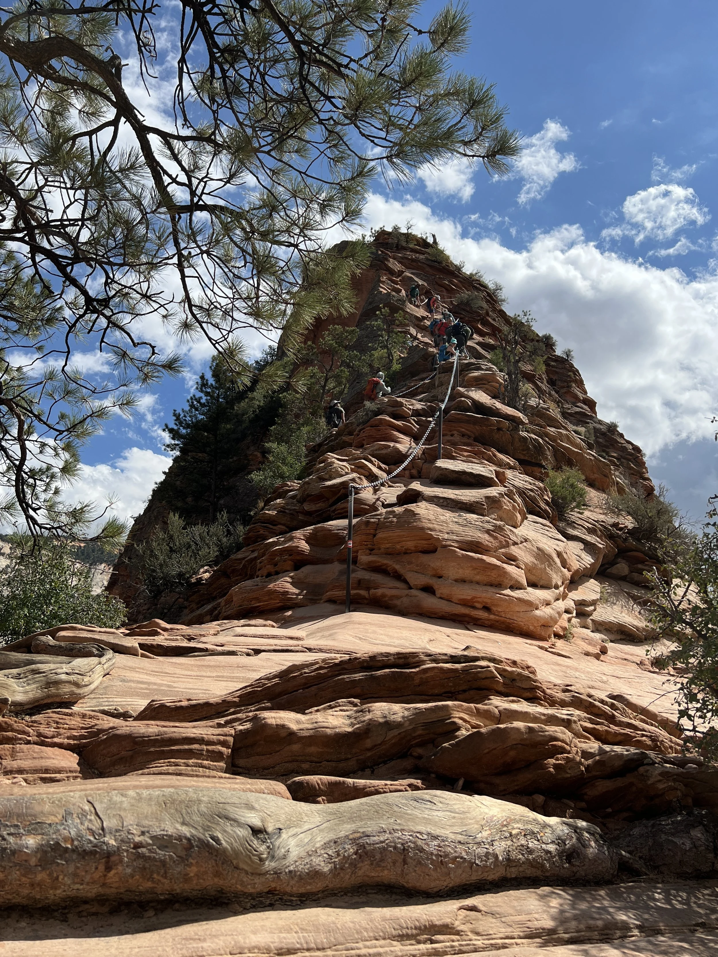 DJI_20220915_142326_317 2.JPG